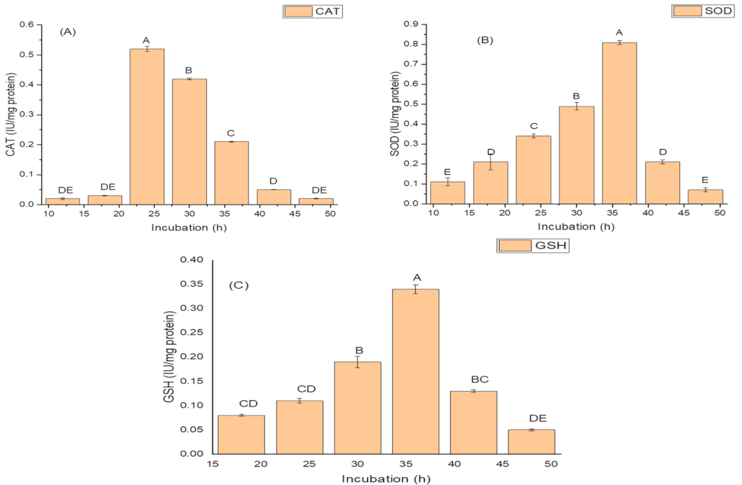 Molecules 26 01894 g002 Molecules 26 01894 g002