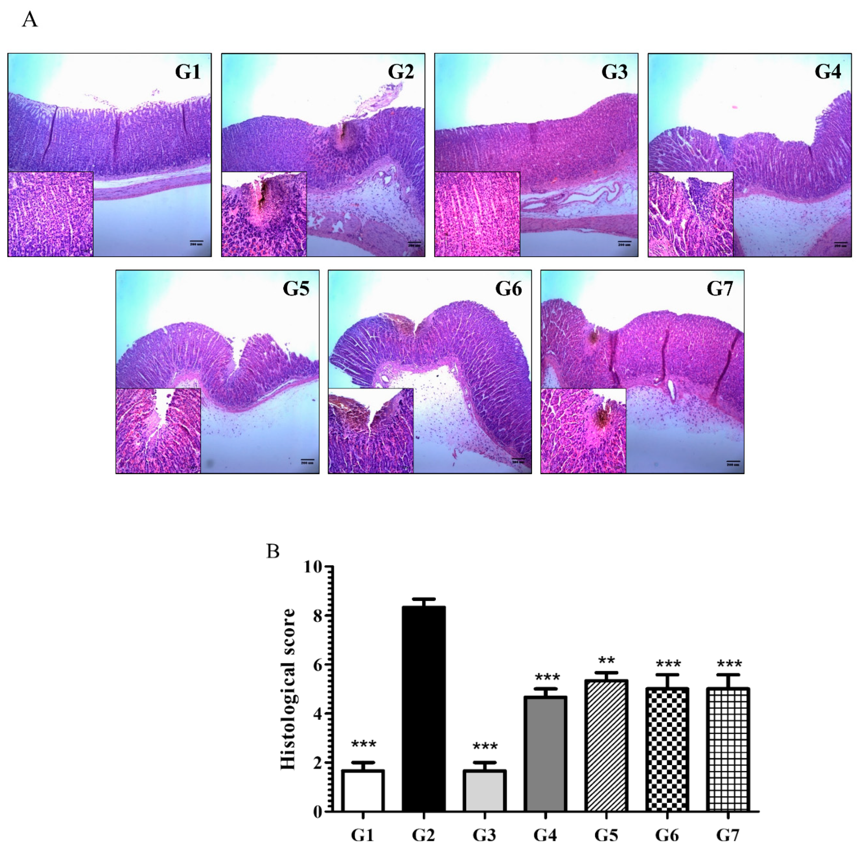 Molecules 26 01895 g002