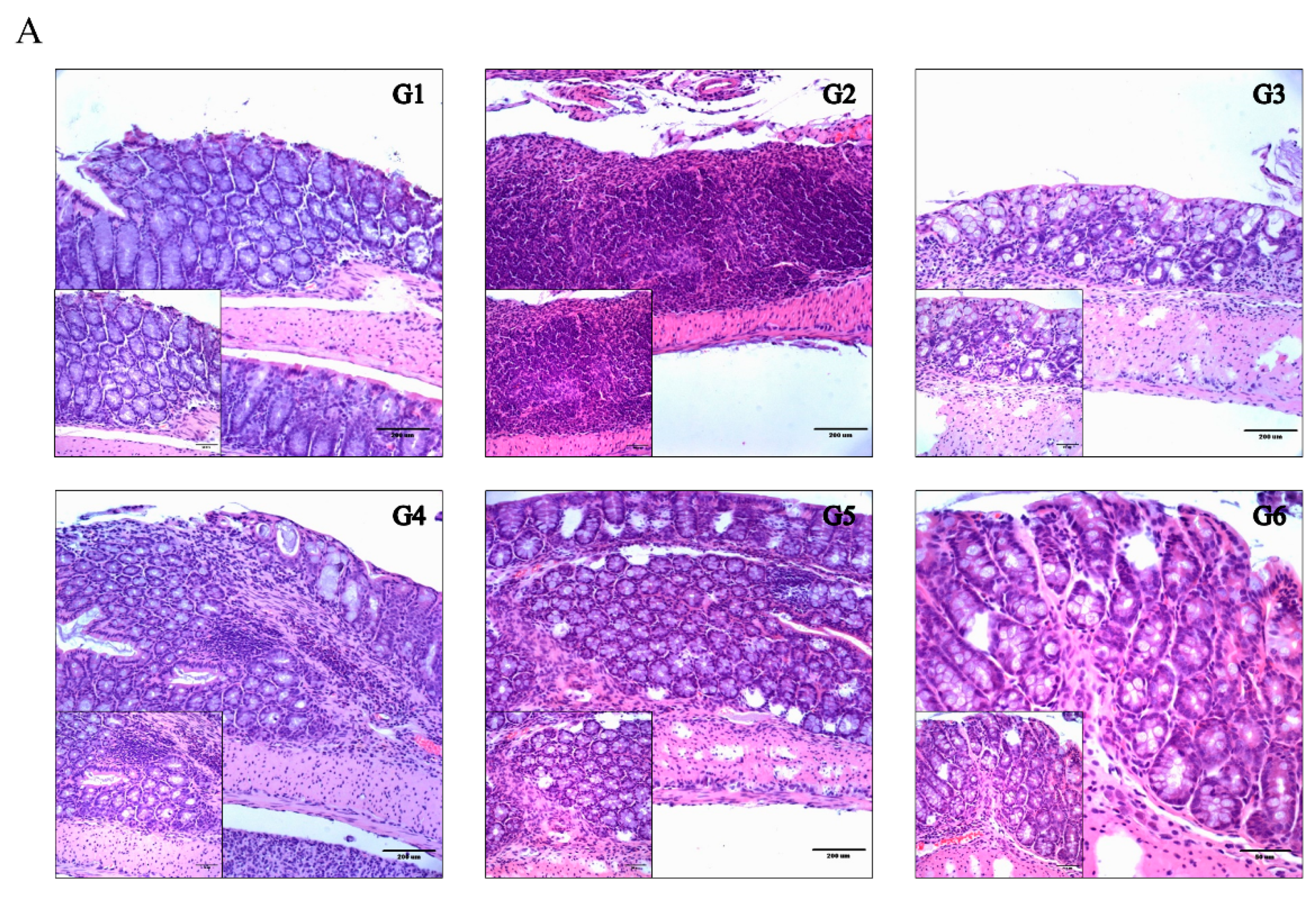 Molecules 26 01895 g005a