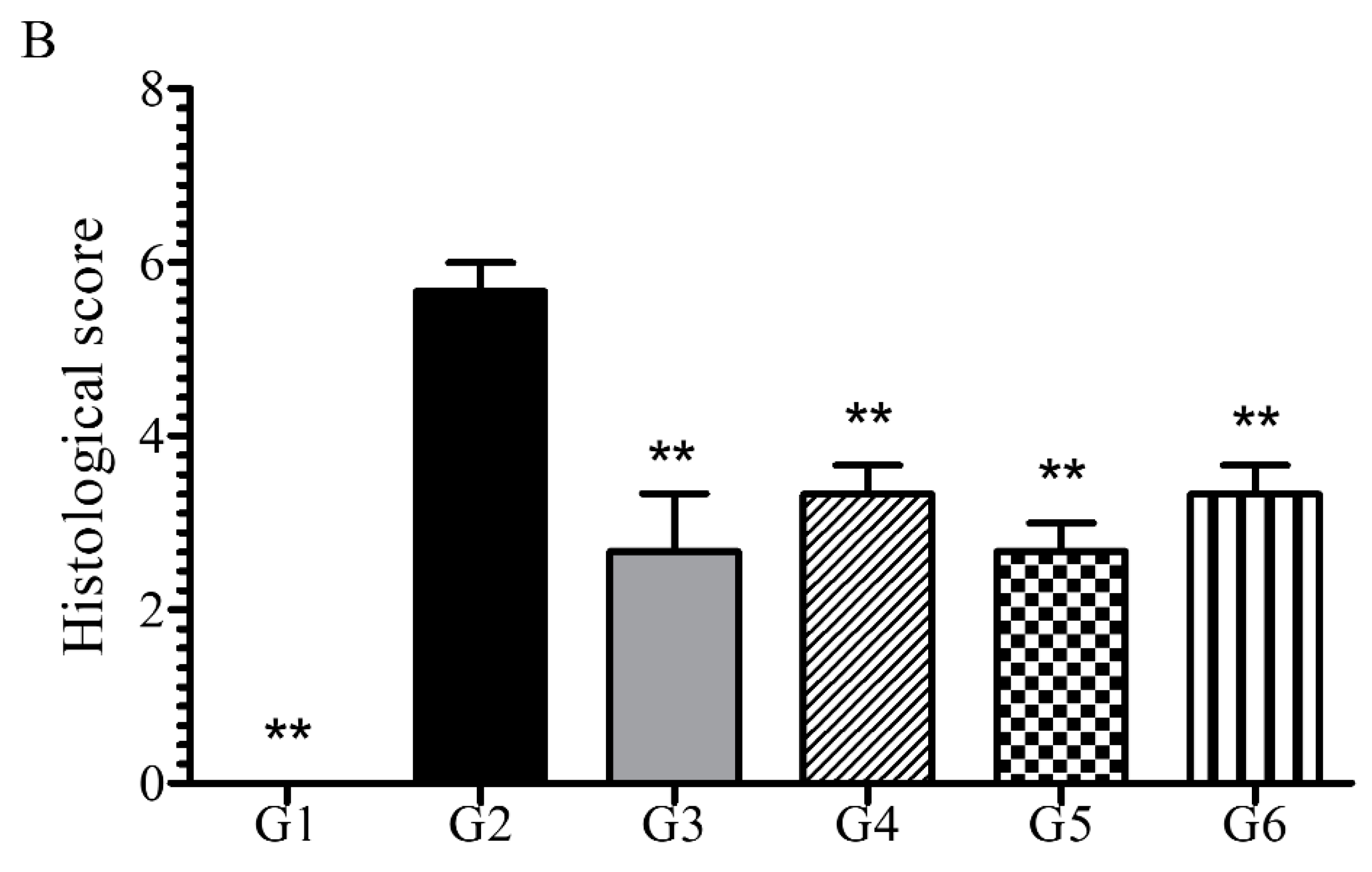 Molecules 26 01895 g005b