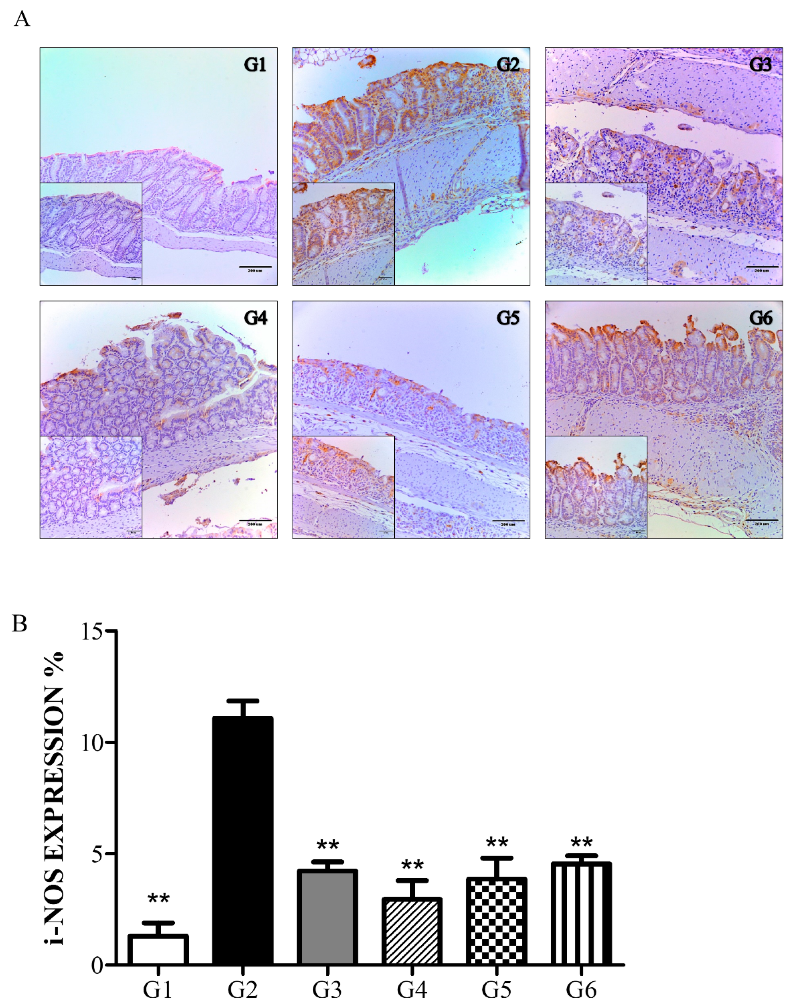 Molecules 26 01895 g006