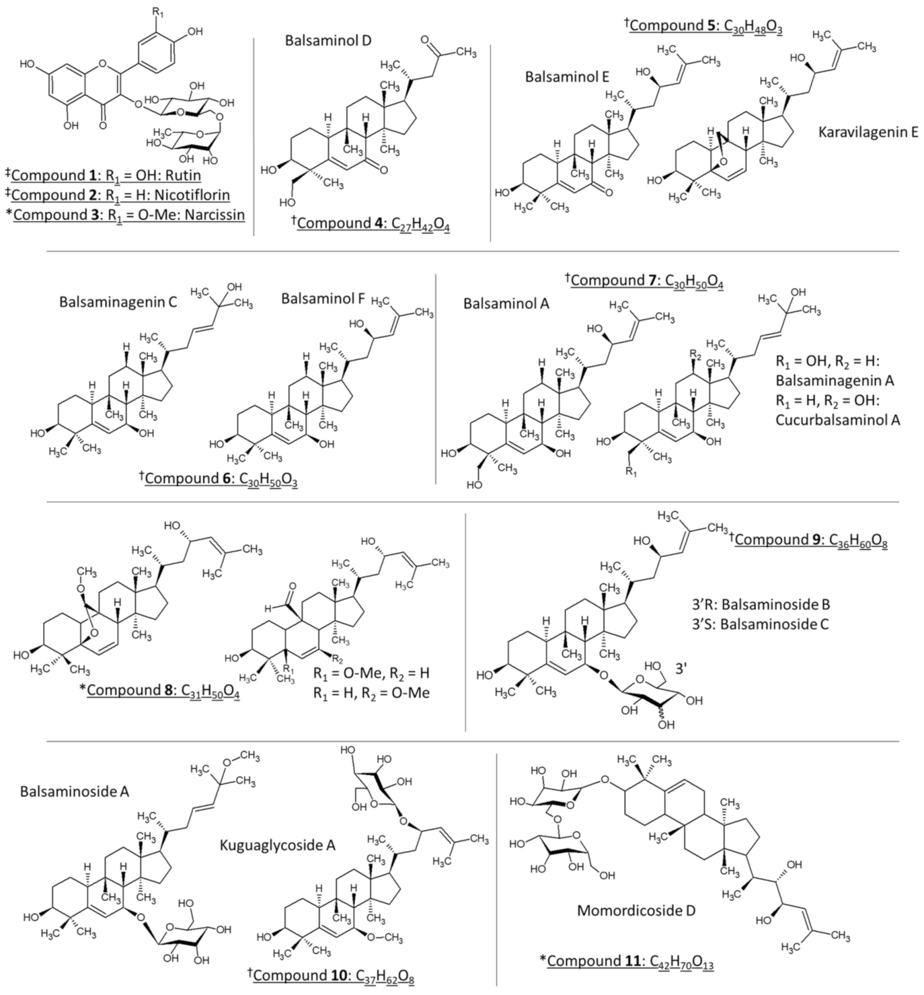 Molecules 26 01896 g001