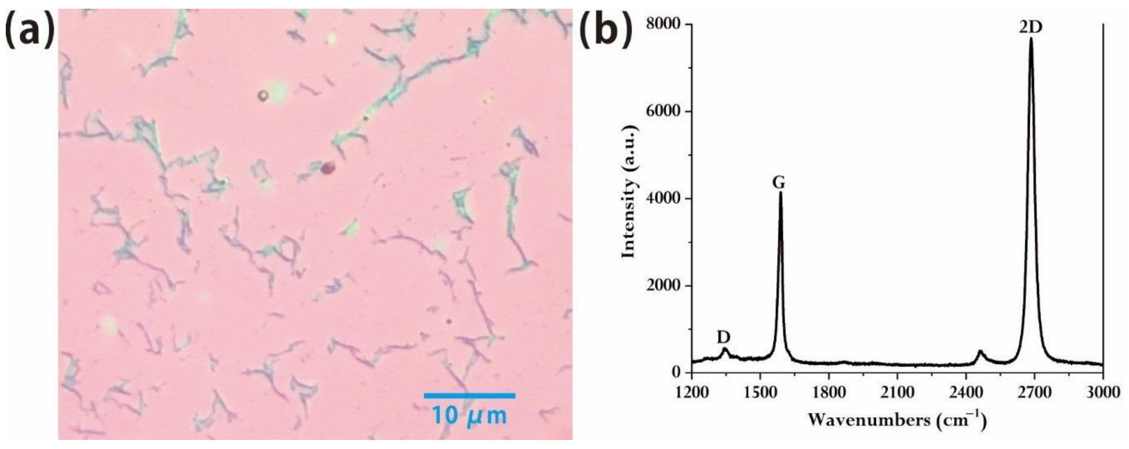 Molecules 26 01900 g001
