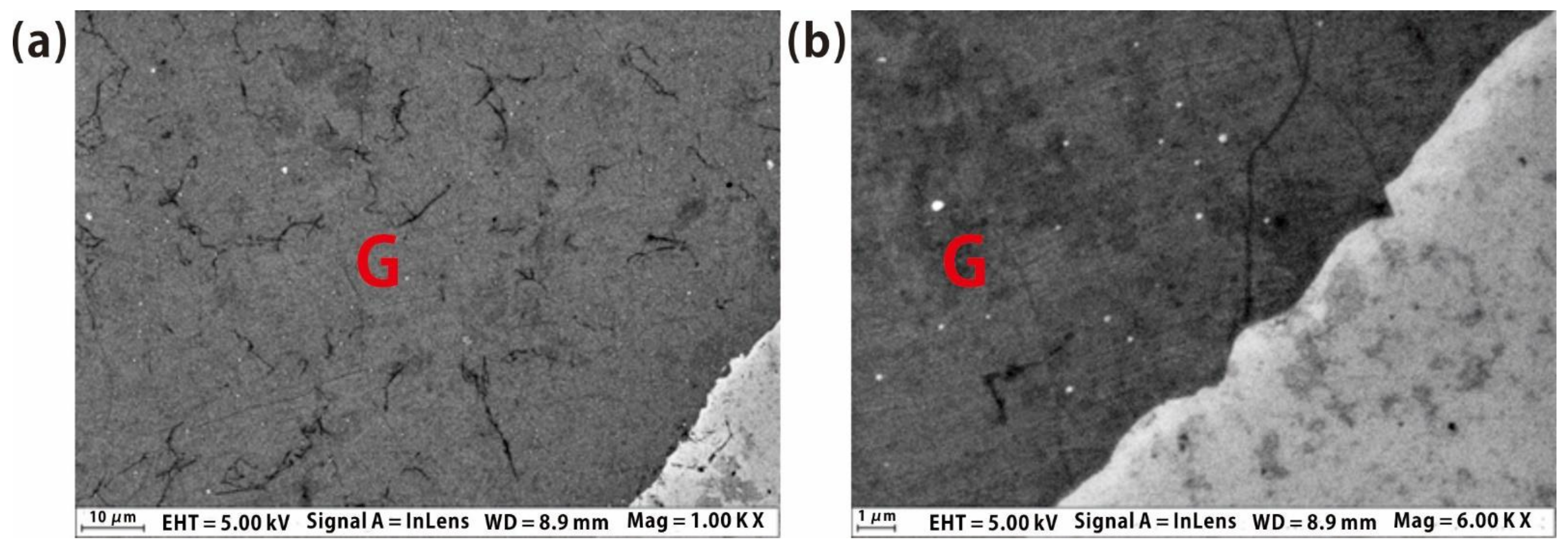 Molecules 26 01900 g002
