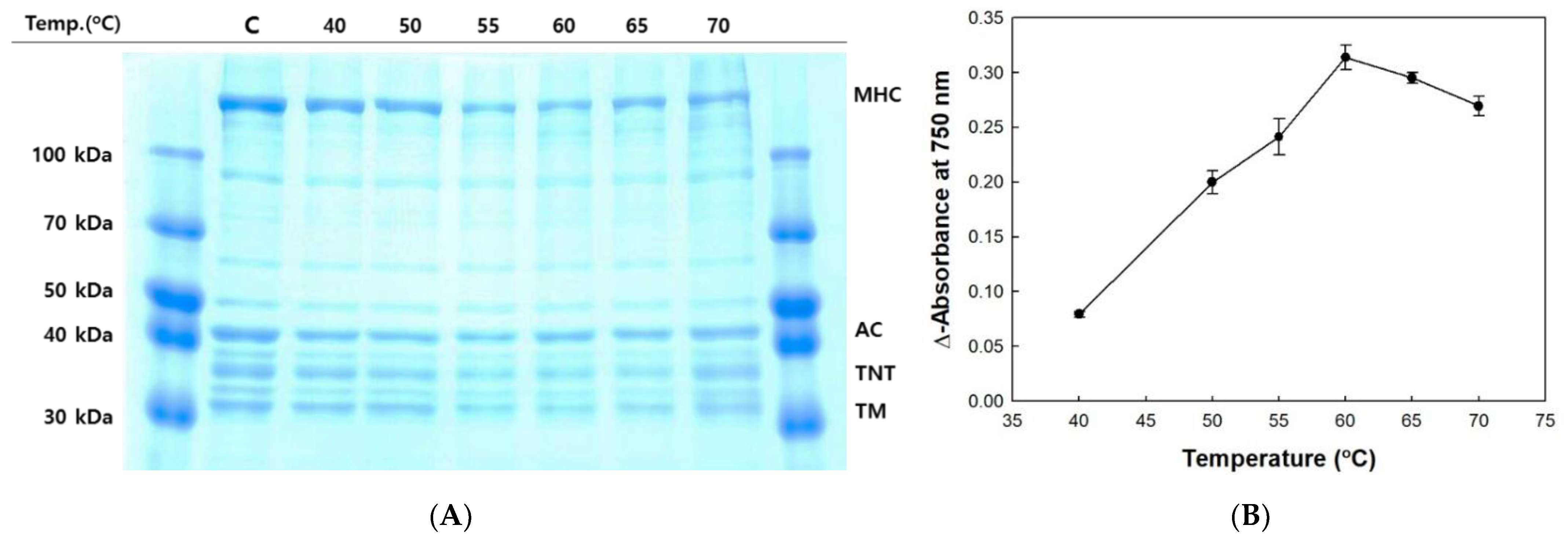 Molecules 26 01901 g002