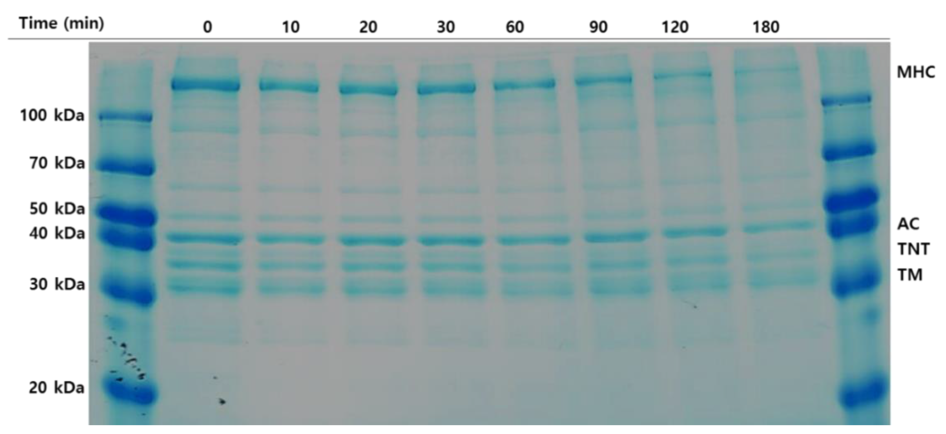 Molecules 26 01901 g003