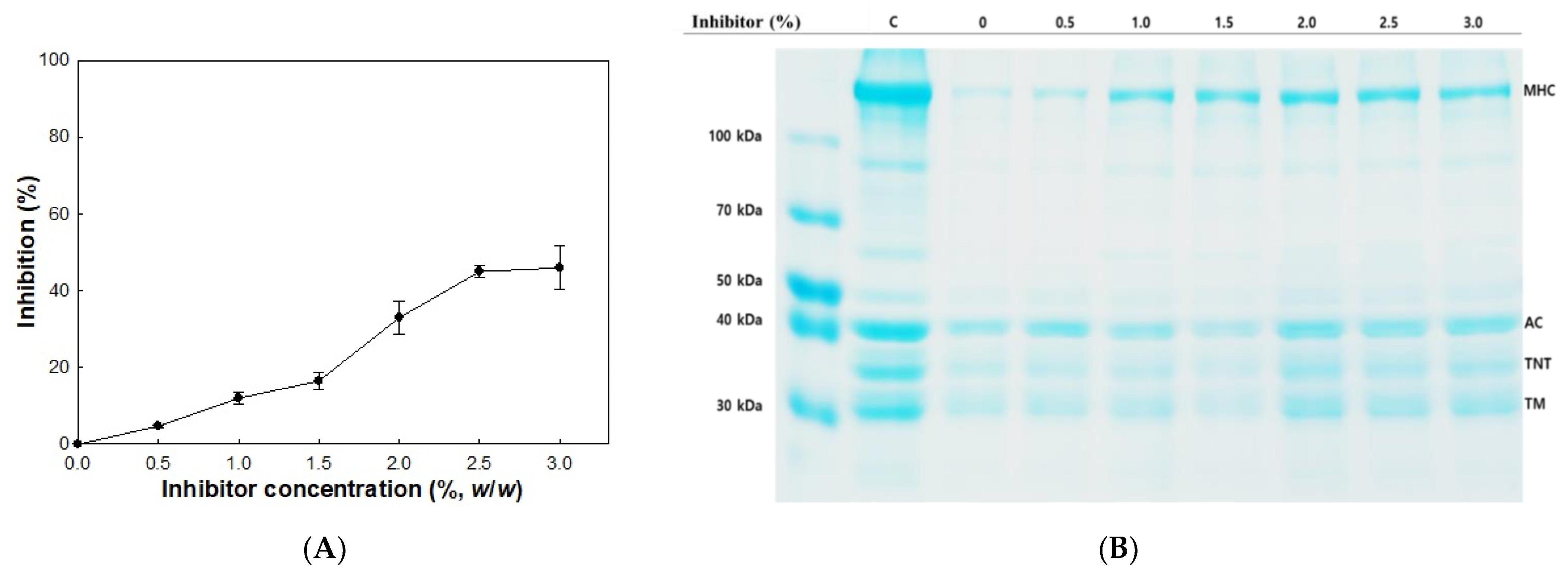 Molecules 26 01901 g004