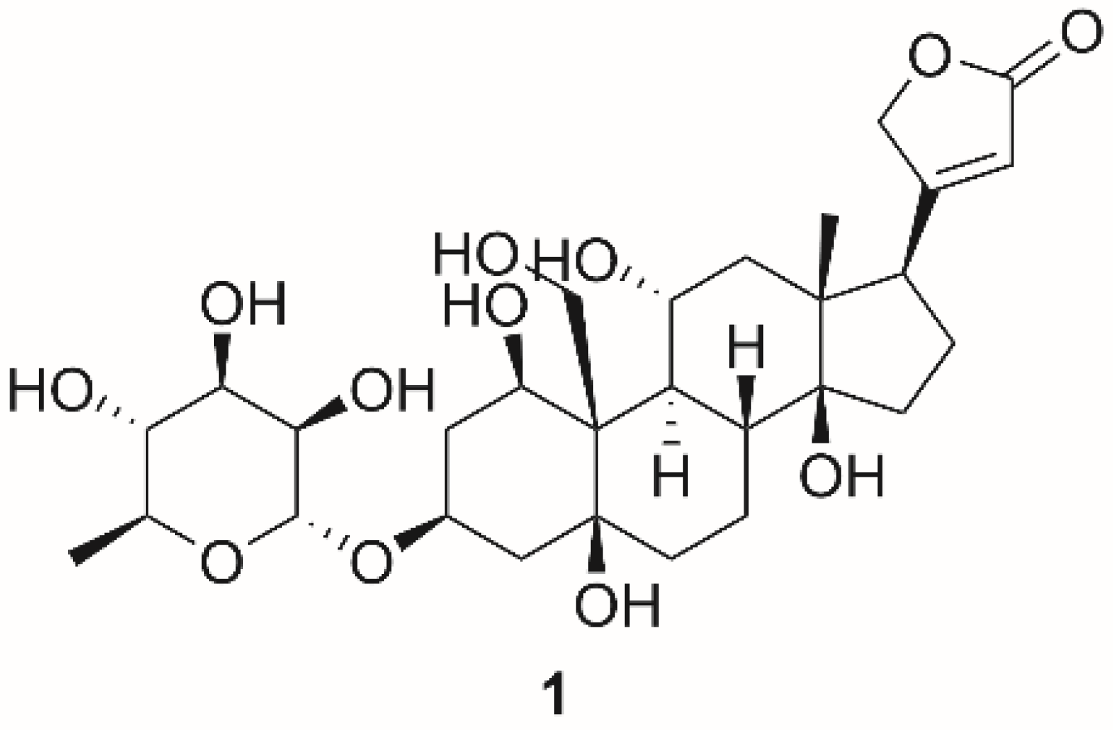 Molecules Free Full Text Na K Atpase Revisited On Its Mechanism Of Action Role In Cancer And Activity Modulation Html