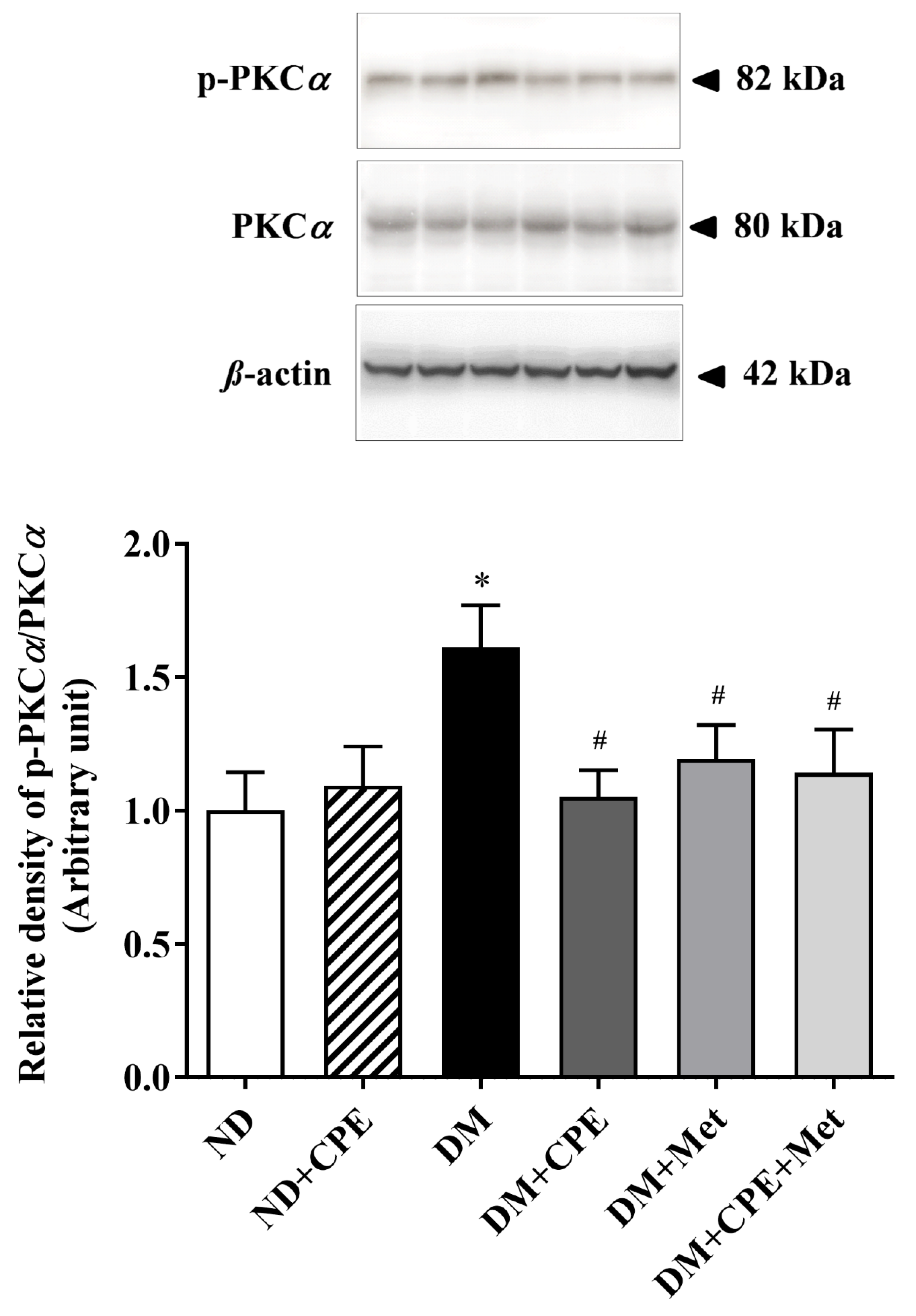 Molecules 26 01907 g005