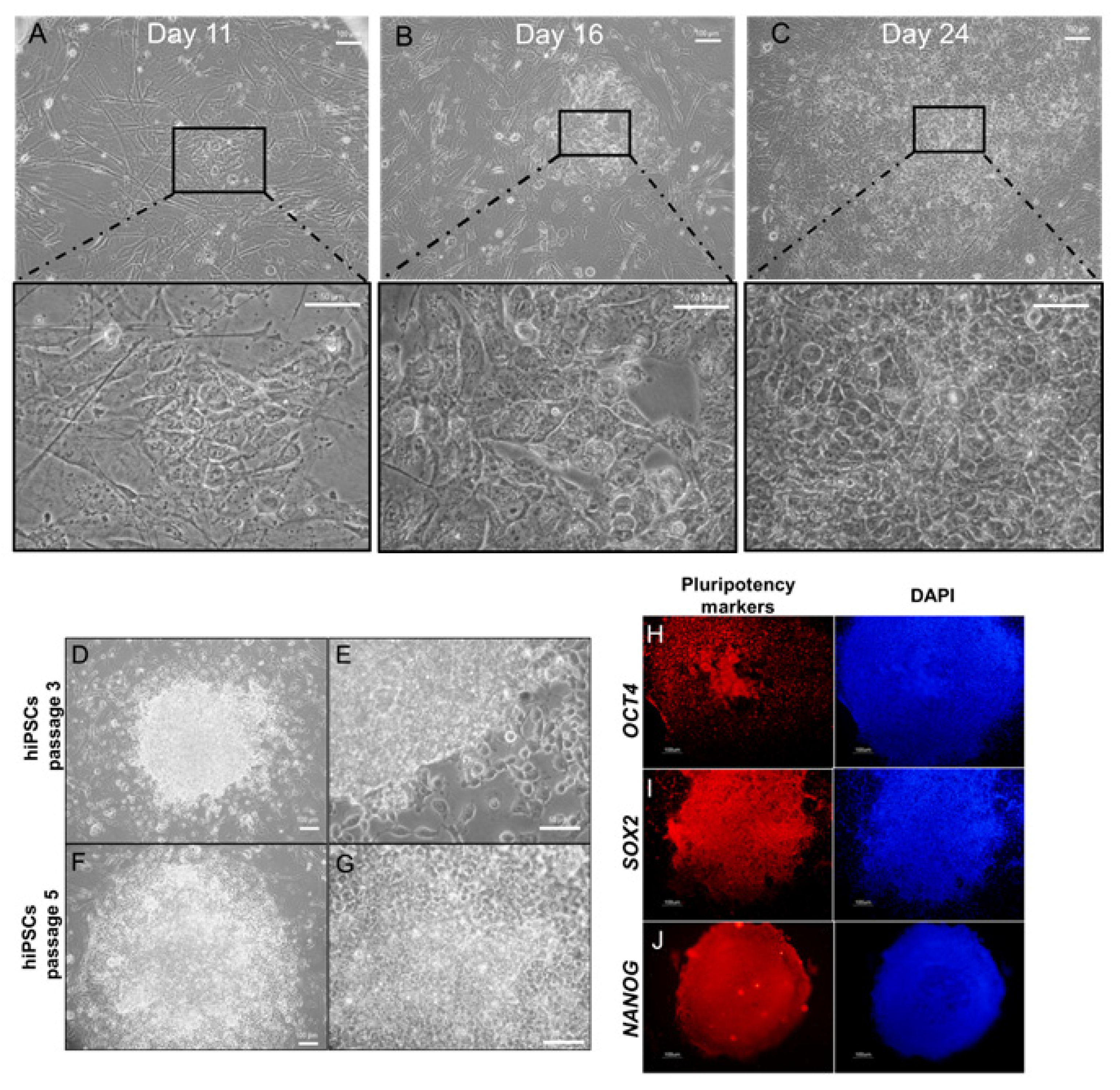Molecules 26 01909 g002 Molecules 26 01909 g002