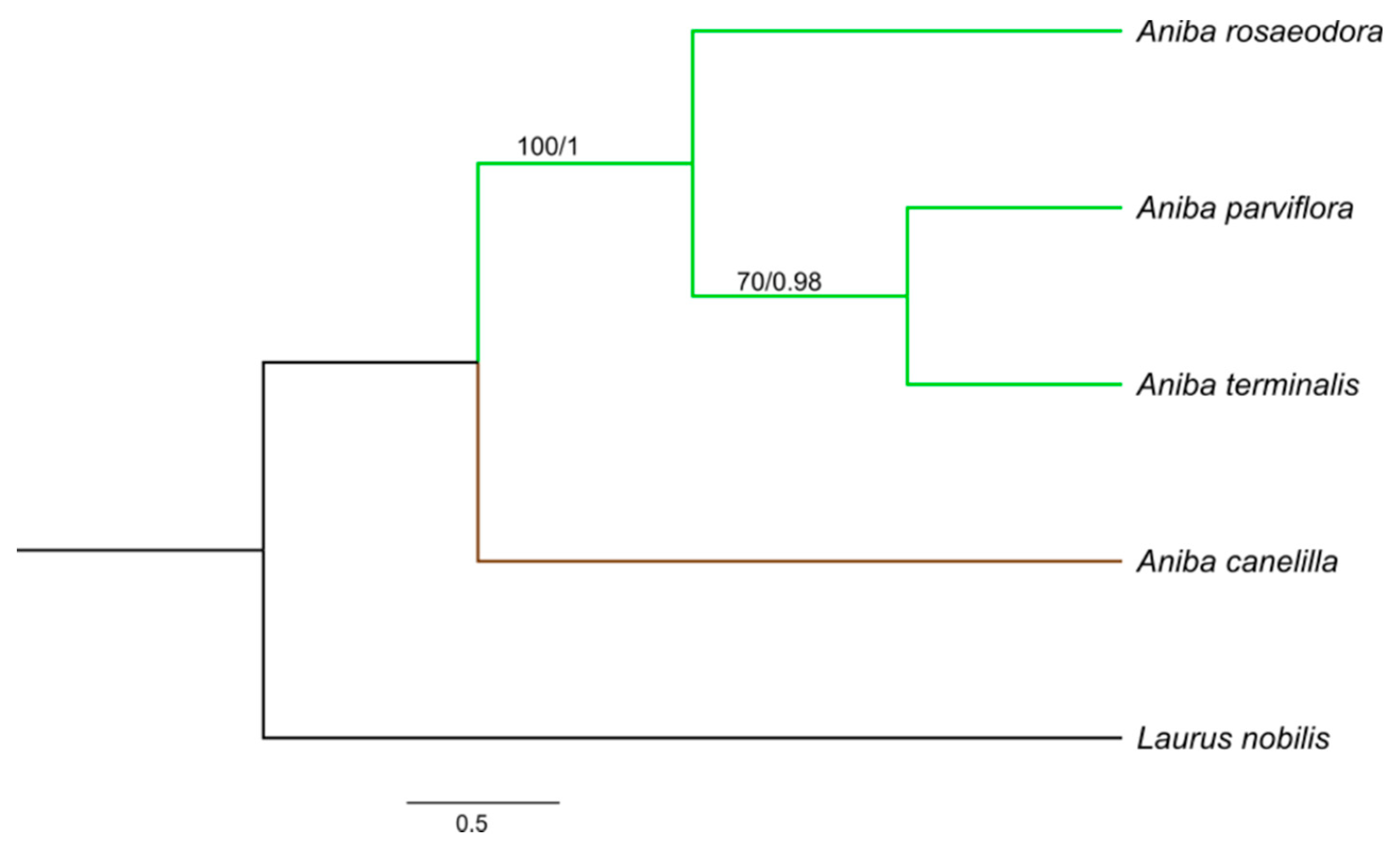 Molecules 26 01914 g003