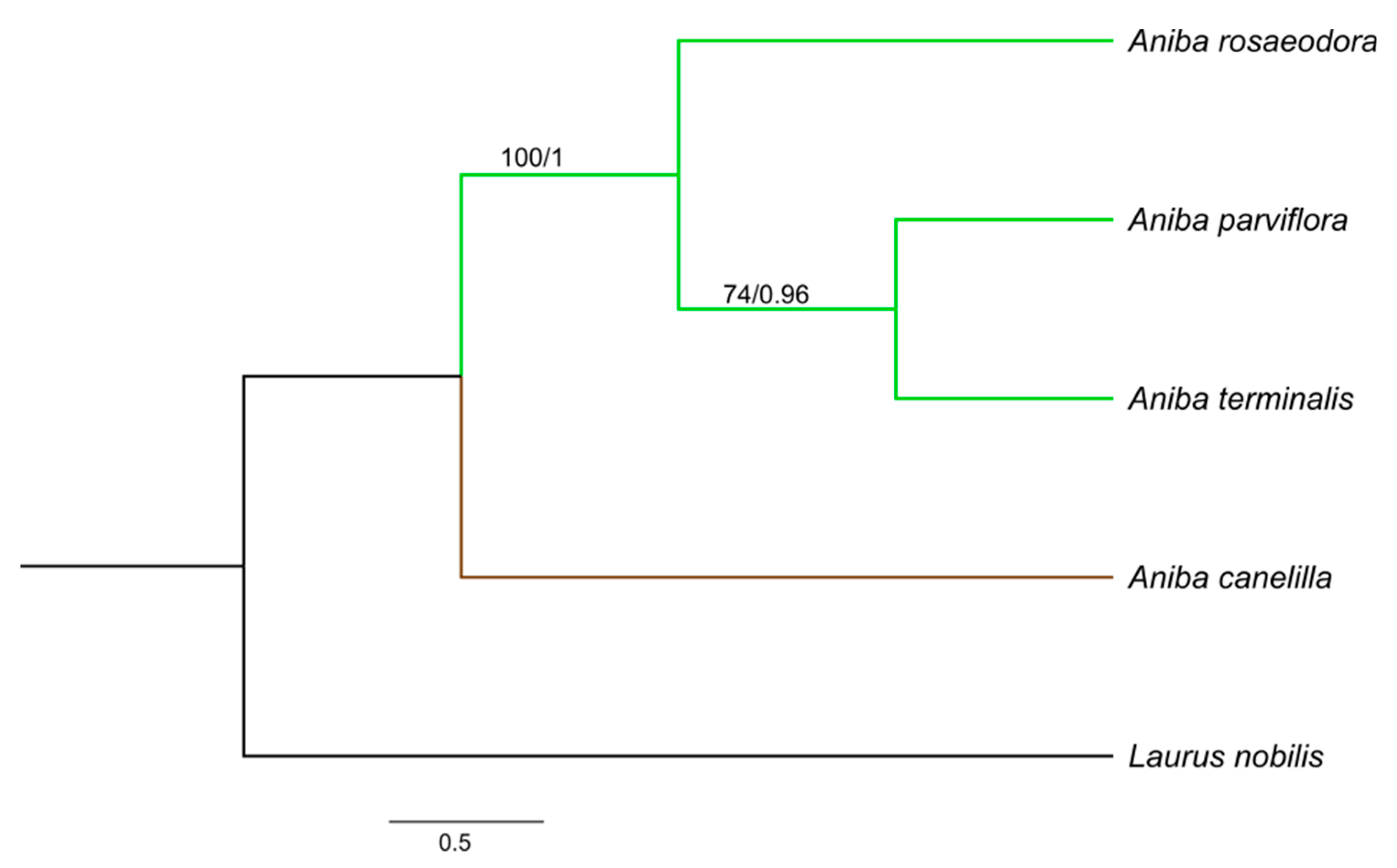 Molecules 26 01914 g004
