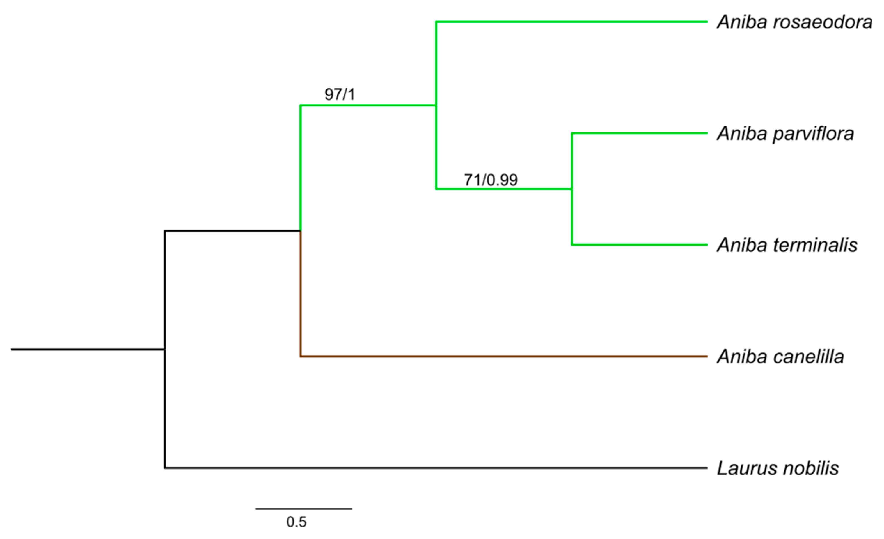 Molecules 26 01914 g005