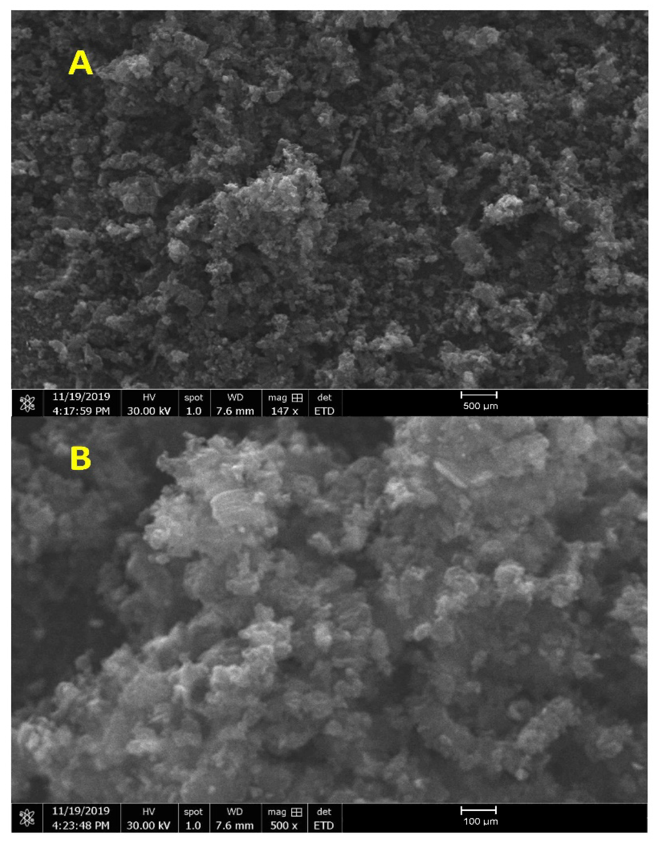 Molecules 26 01921 g004 Molecules 26 01921 g004
