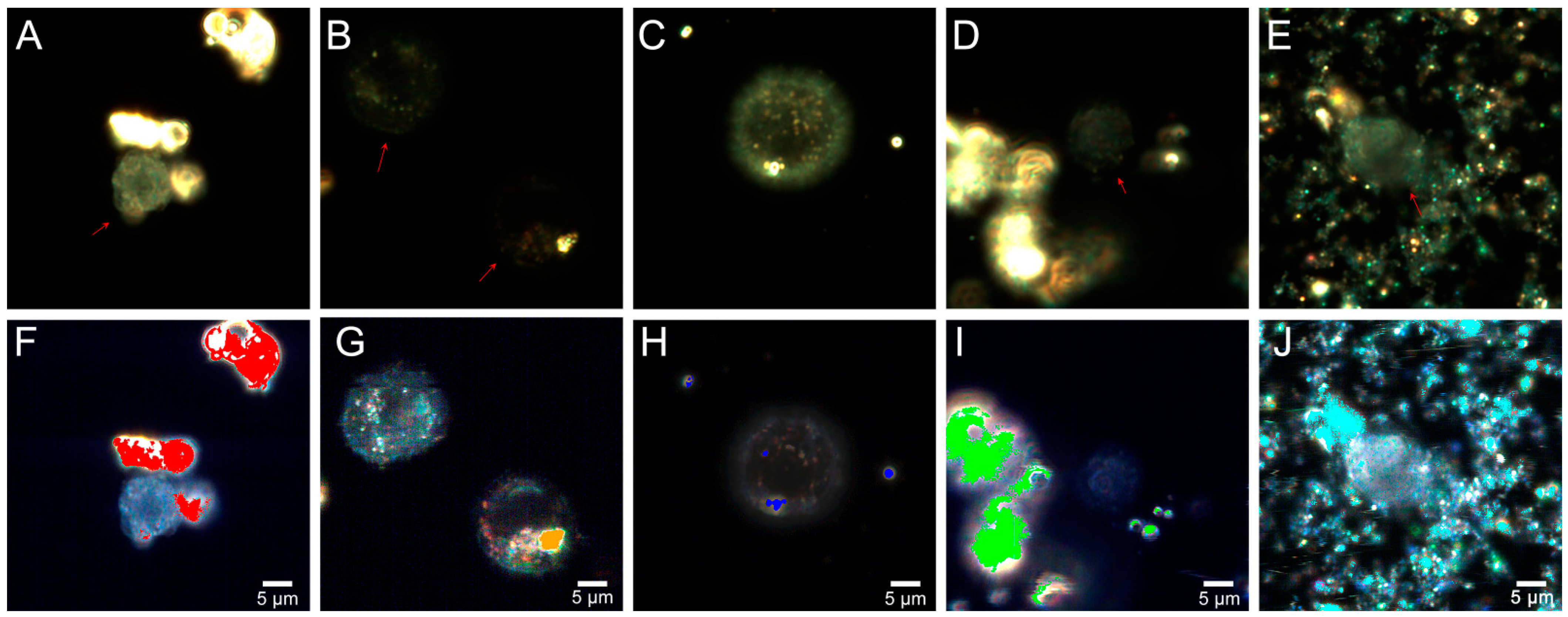 Molecules 26 01926 g007 Molecules 26 01926 g007