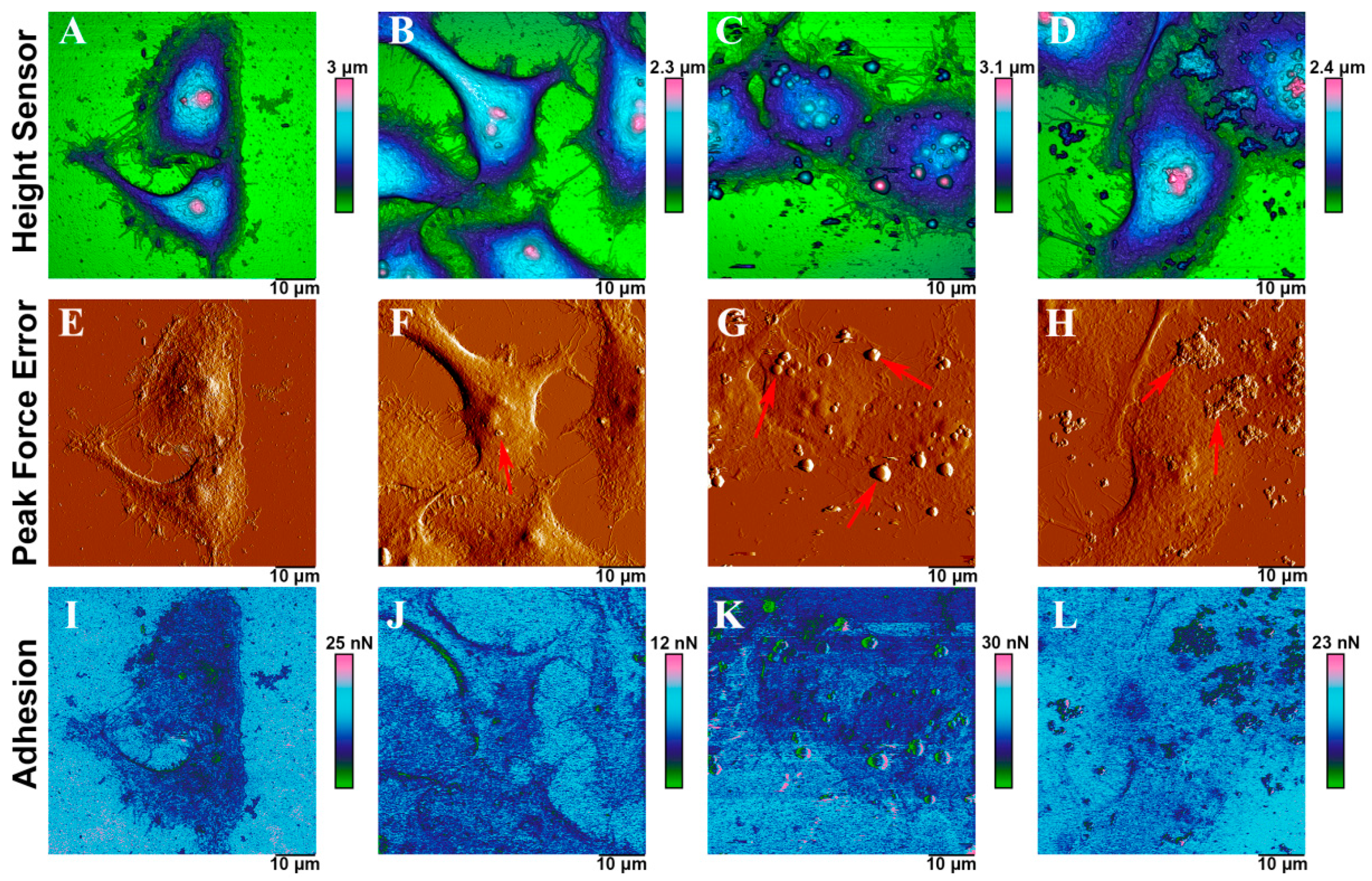 Molecules 26 01926 g010 Molecules 26 01926 g010
