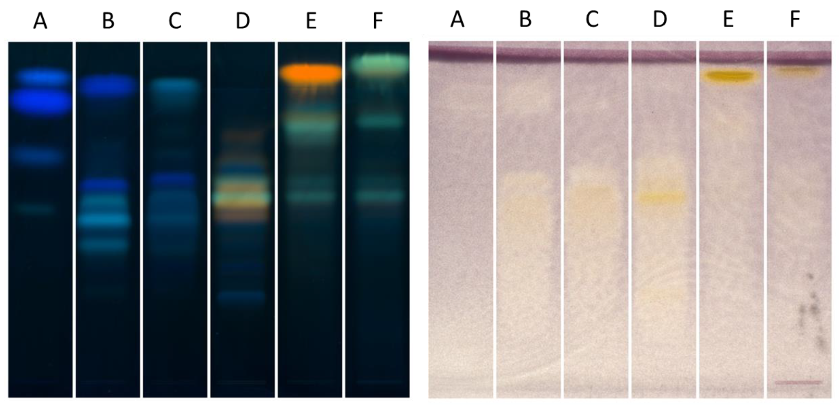 Molecules 26 01939 g002