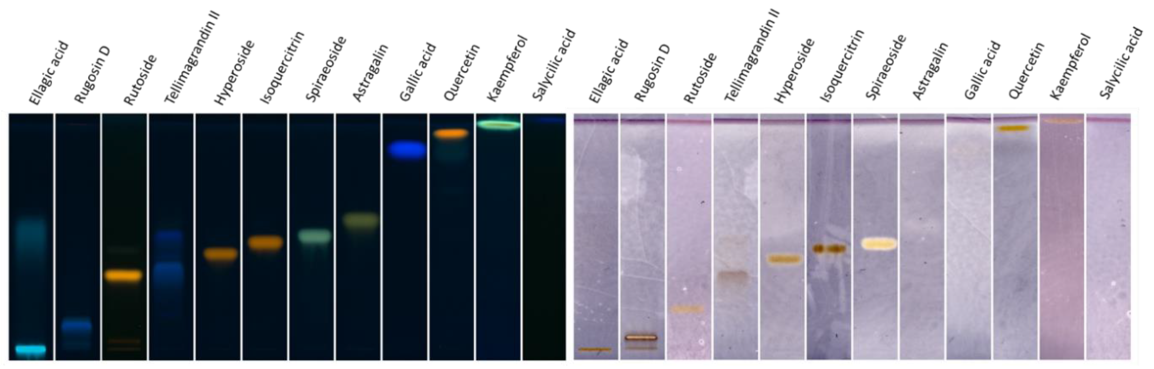 Molecules 26 01939 g003