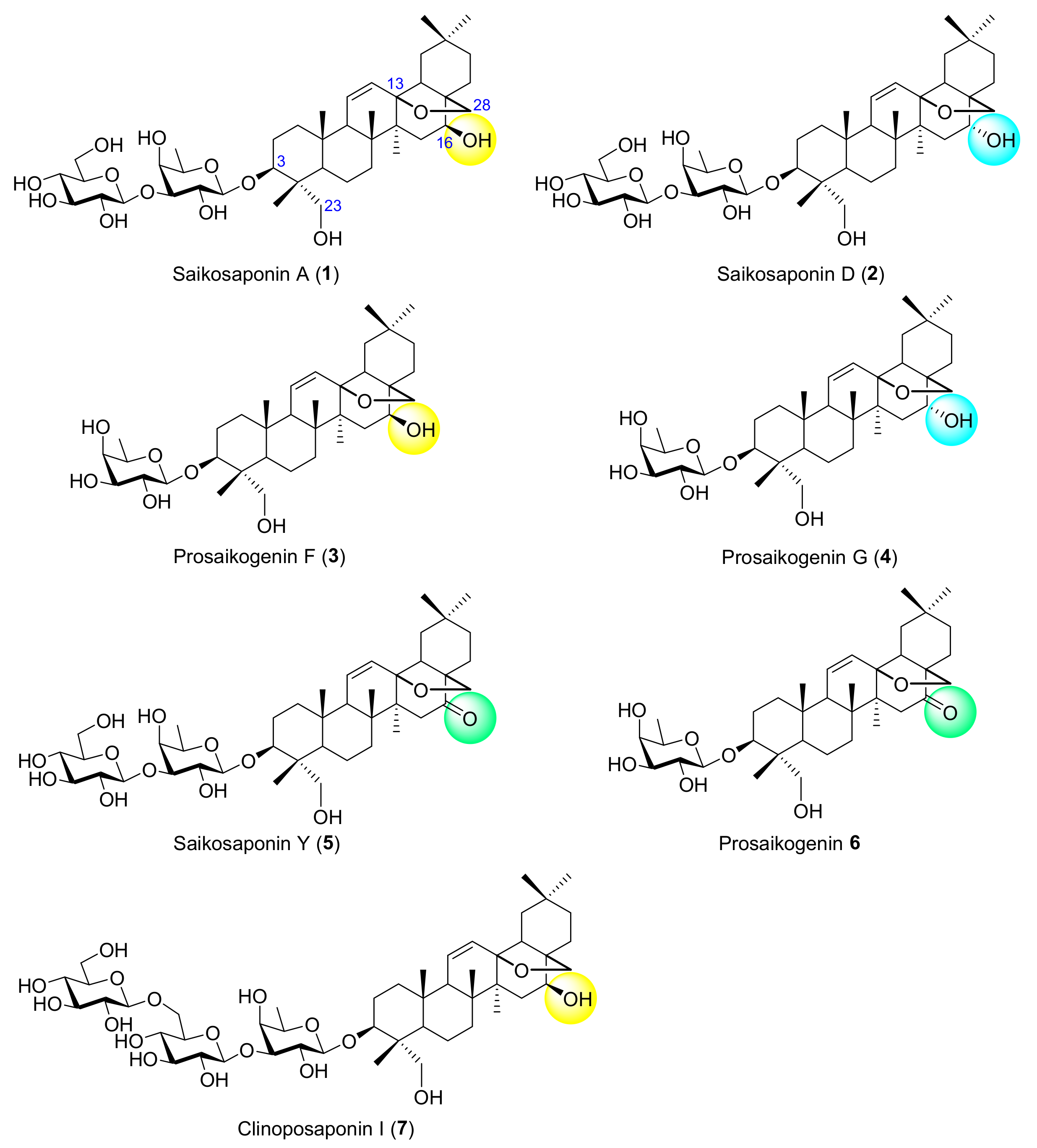 Molecules 26 01941 g001