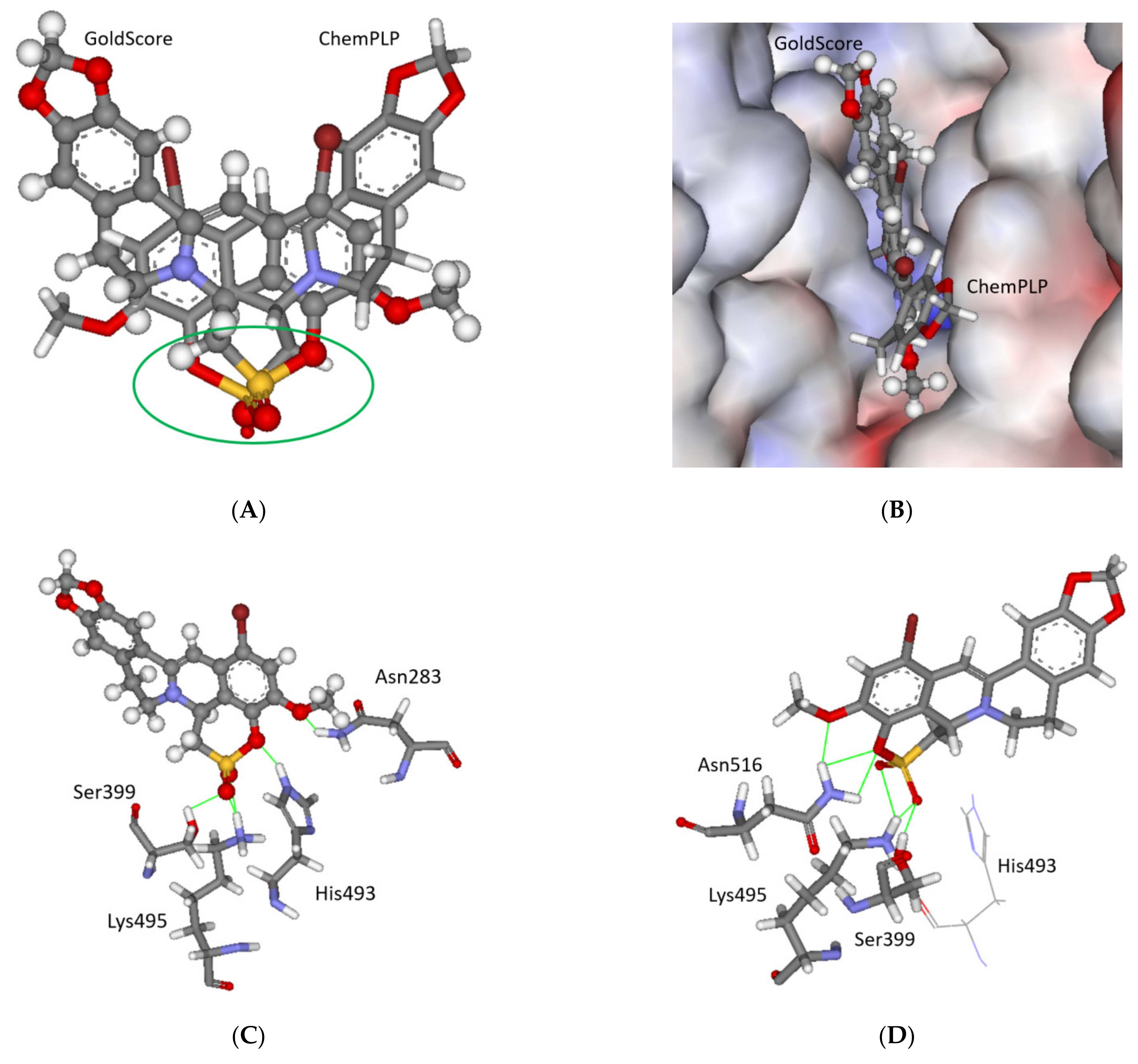 Molecules 26 01945 g010