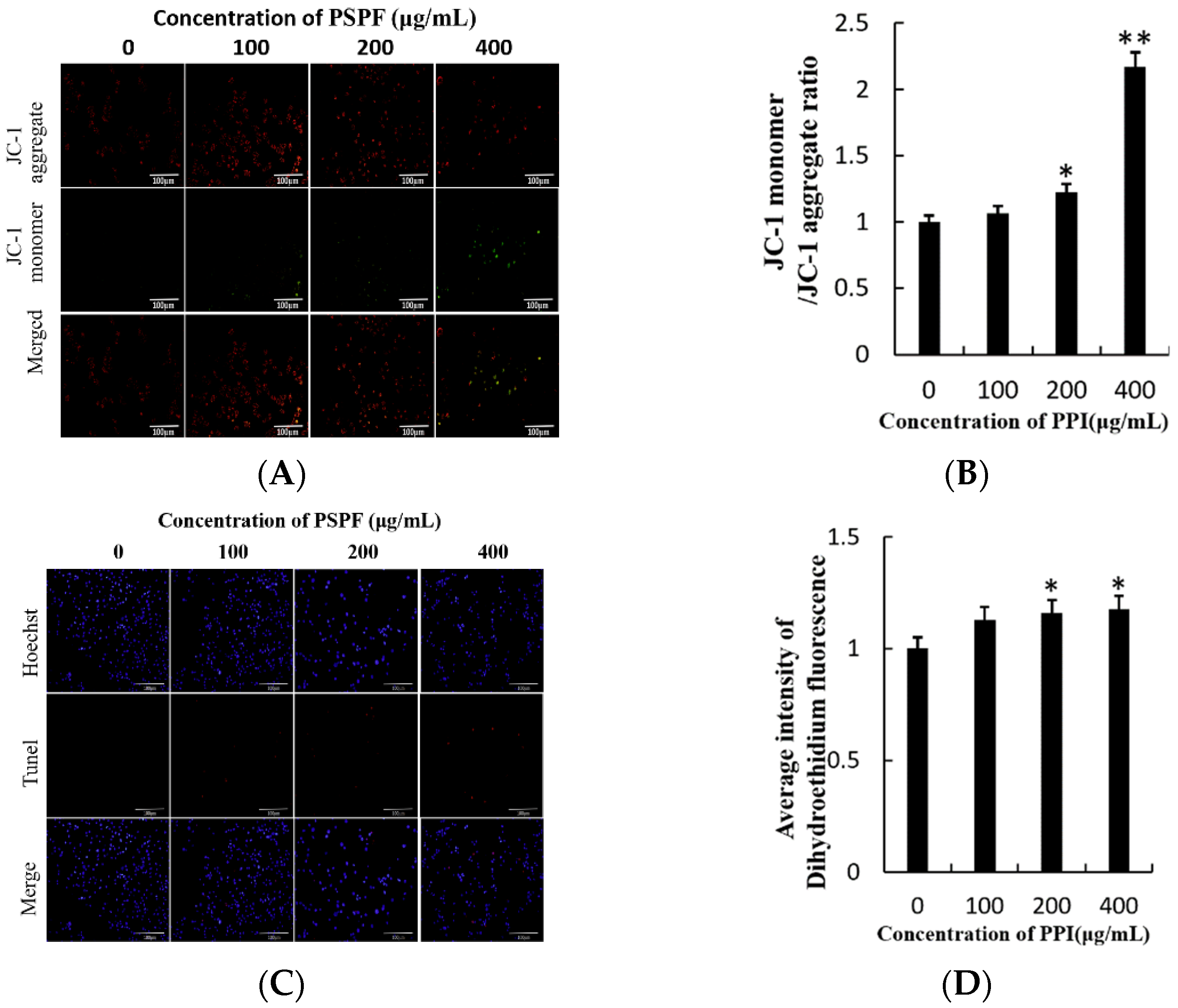 Molecules 26 01949 g005