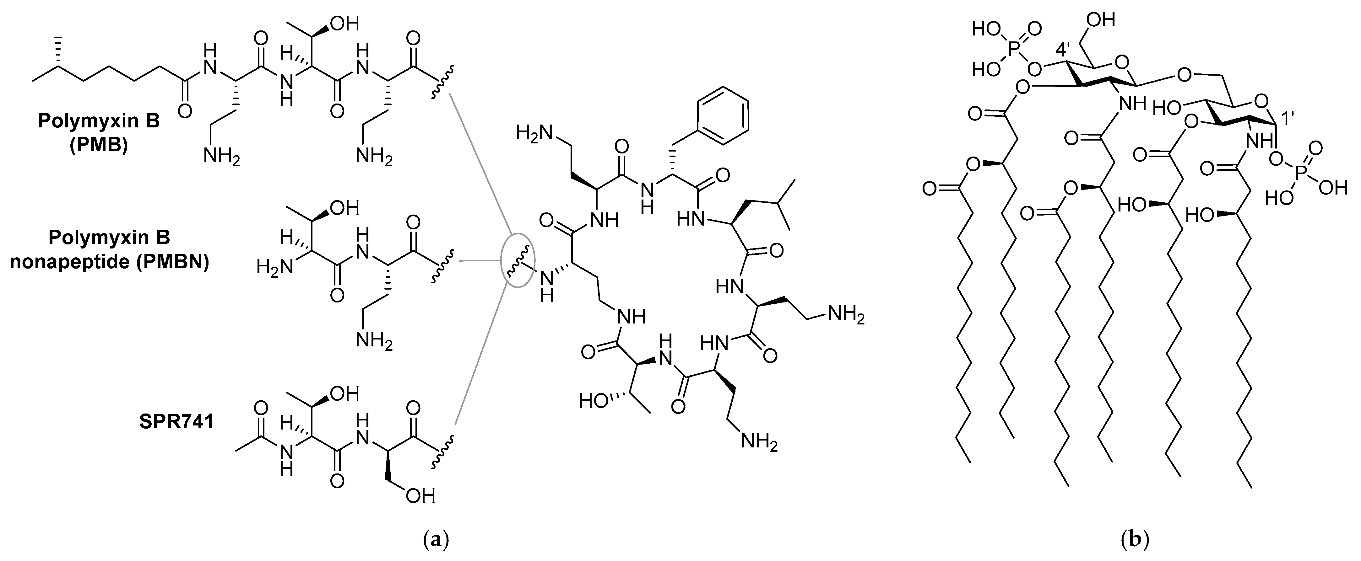 Molecules 26 01954 g001