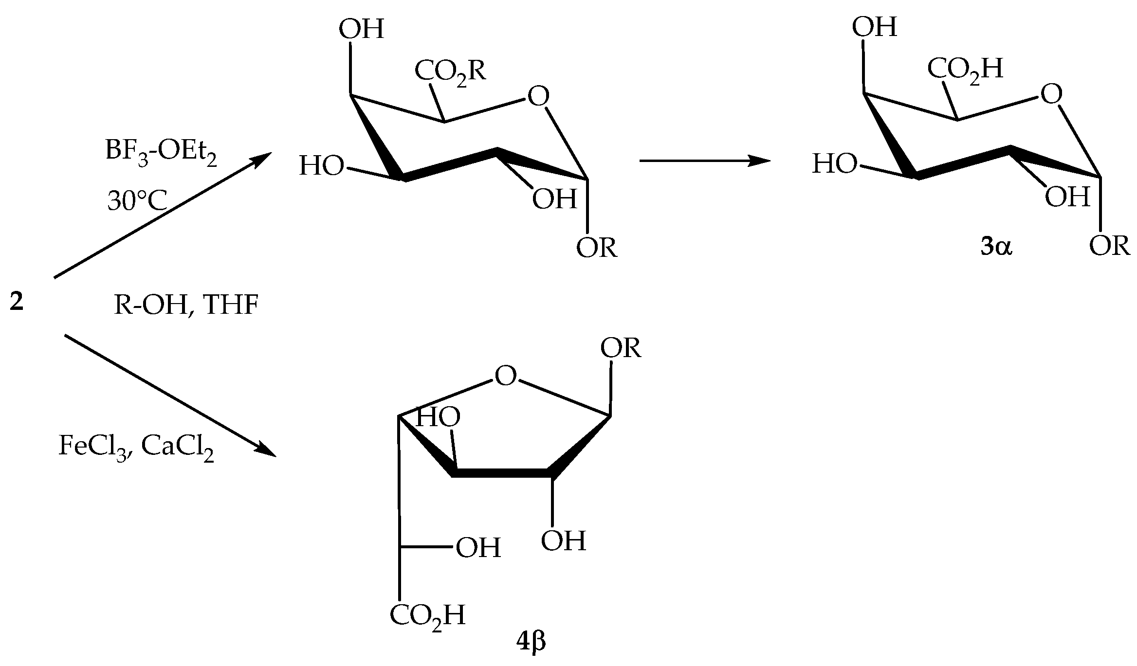 Molecules 26 01956 sch001
