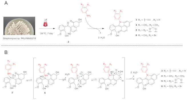 Molecules 26 01959 sch001 Molecules 26 01959 sch001