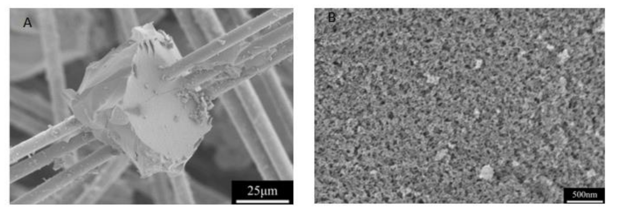 Molecules 26 01960 g012