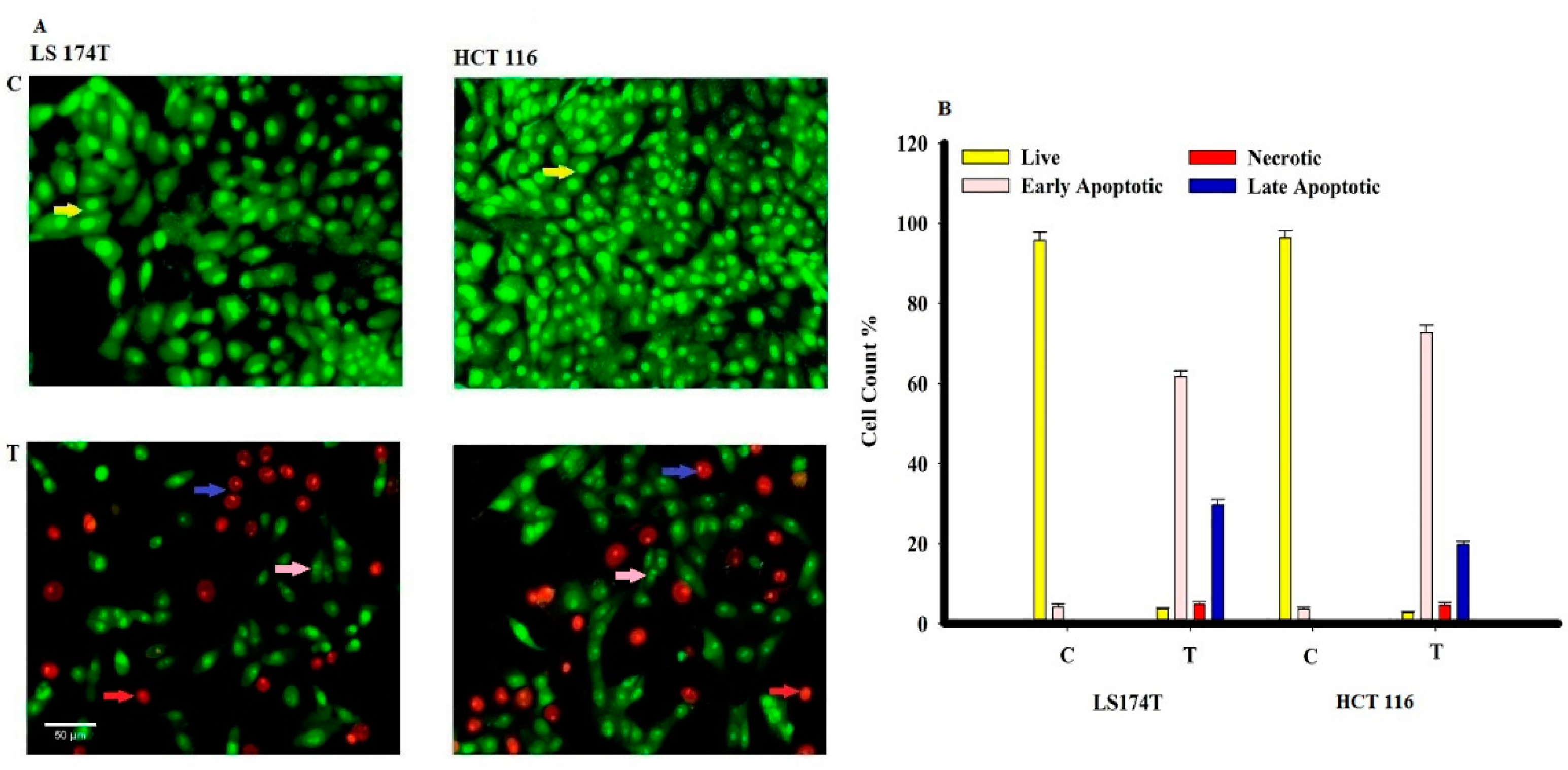 Molecules 26 01963 g011