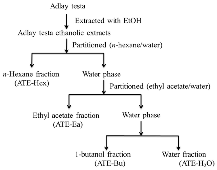 Molecules 26 01966 g008 Molecules 26 01966 g008