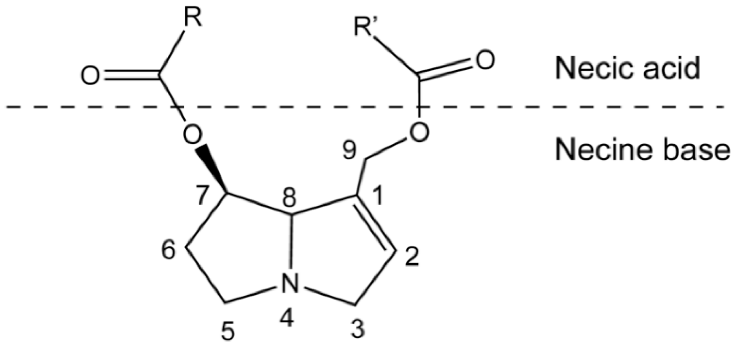 Molecules 26 01970 g001
