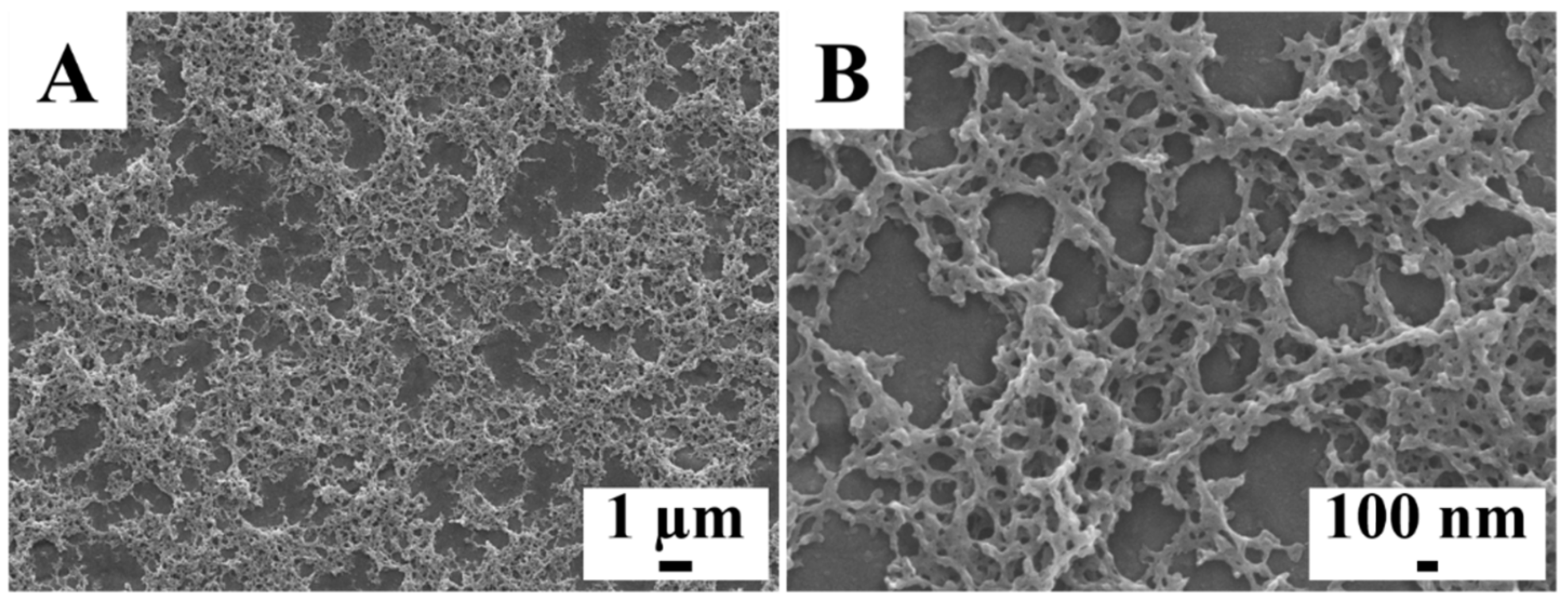 Molecules 26 01974 g002 Molecules 26 01974 g002