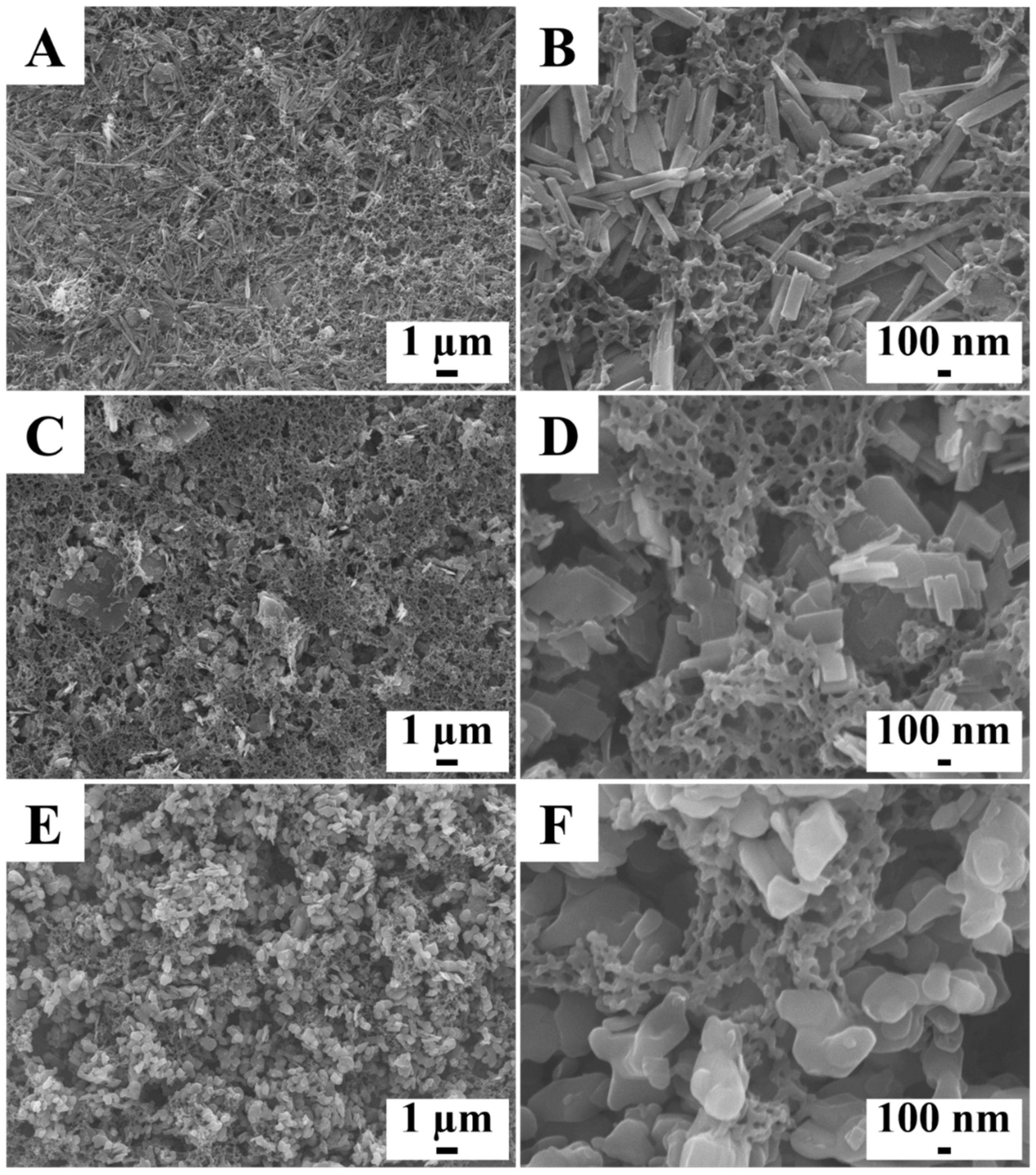 Molecules 26 01974 g004 Molecules 26 01974 g004