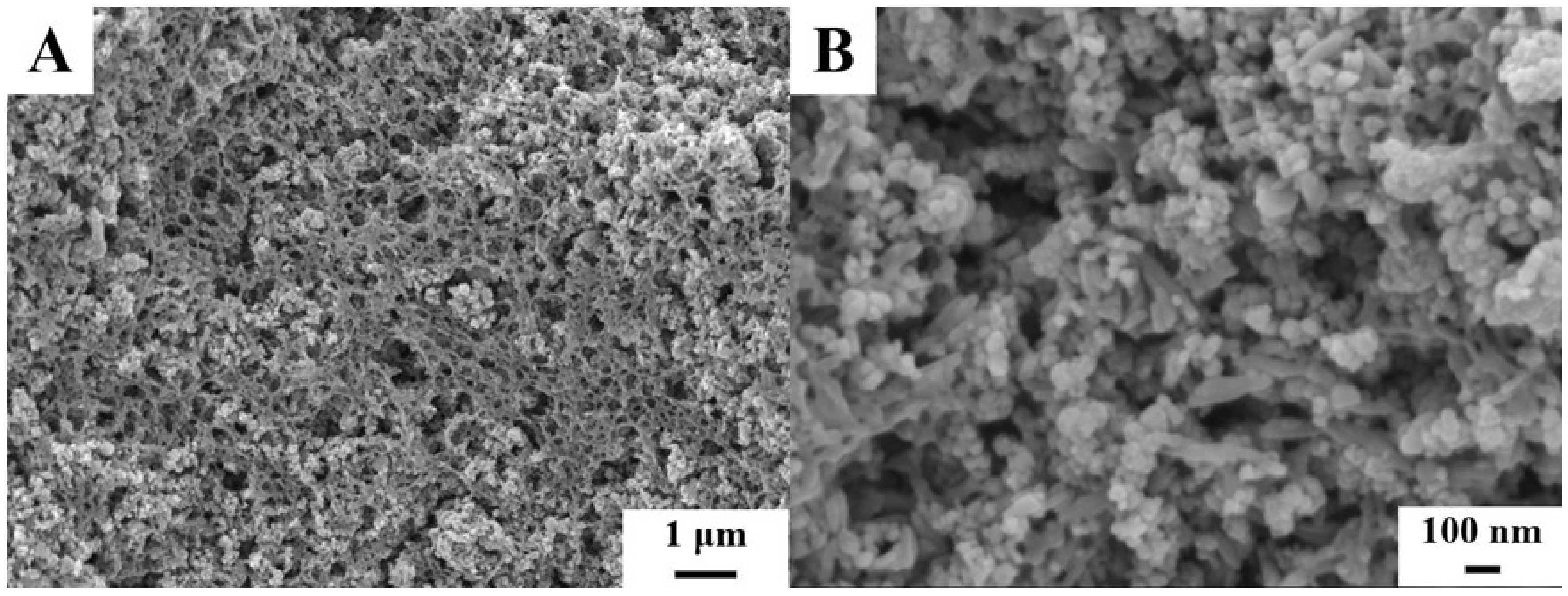 Molecules 26 01974 g007 Molecules 26 01974 g007