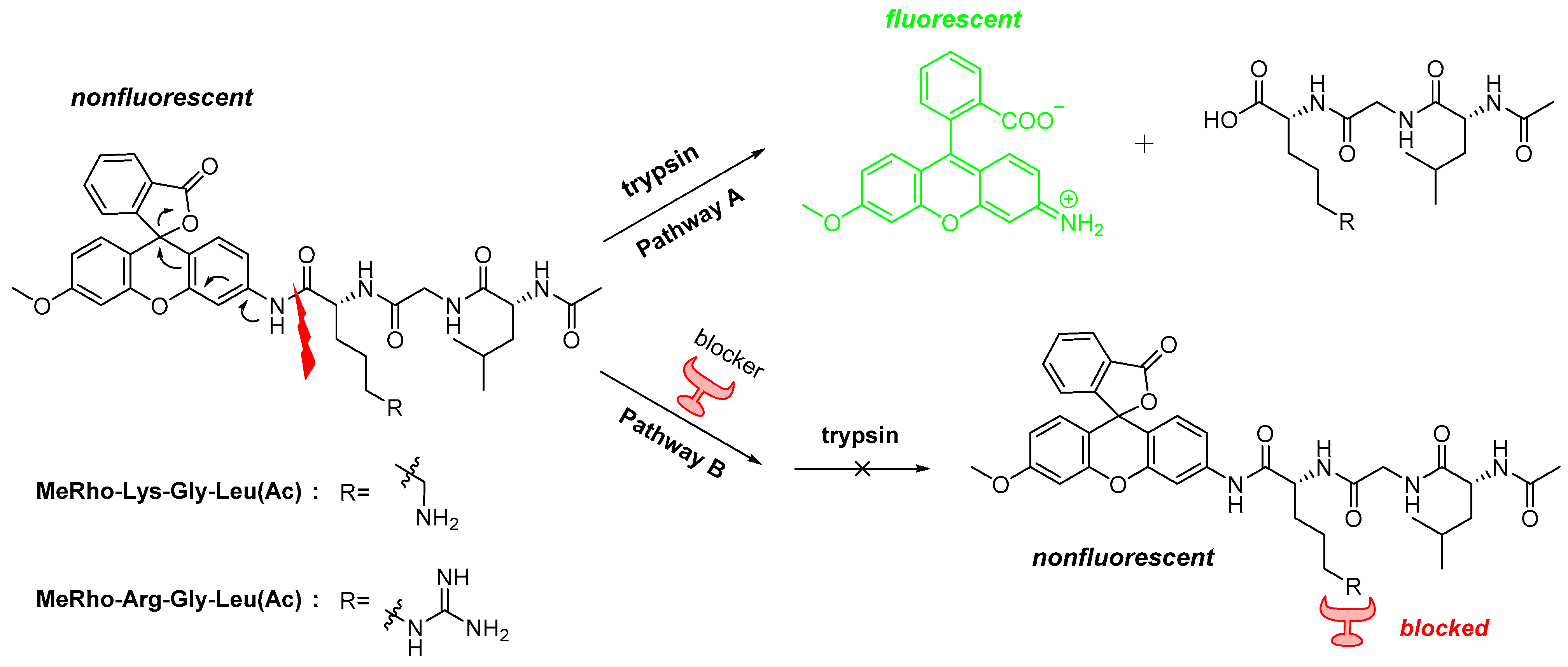 Molecules 26 01975 g002