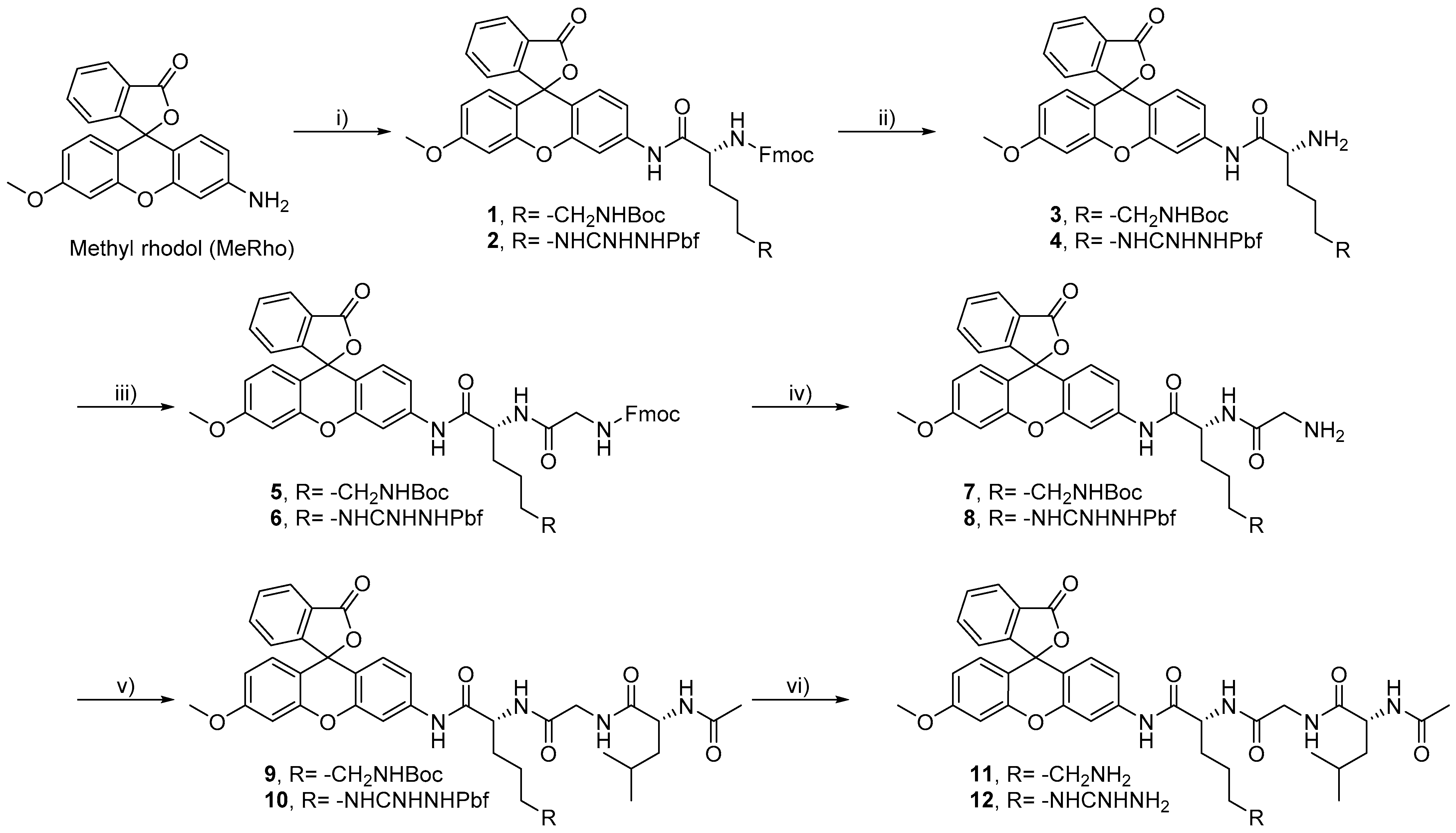 Molecules 26 01975 sch001