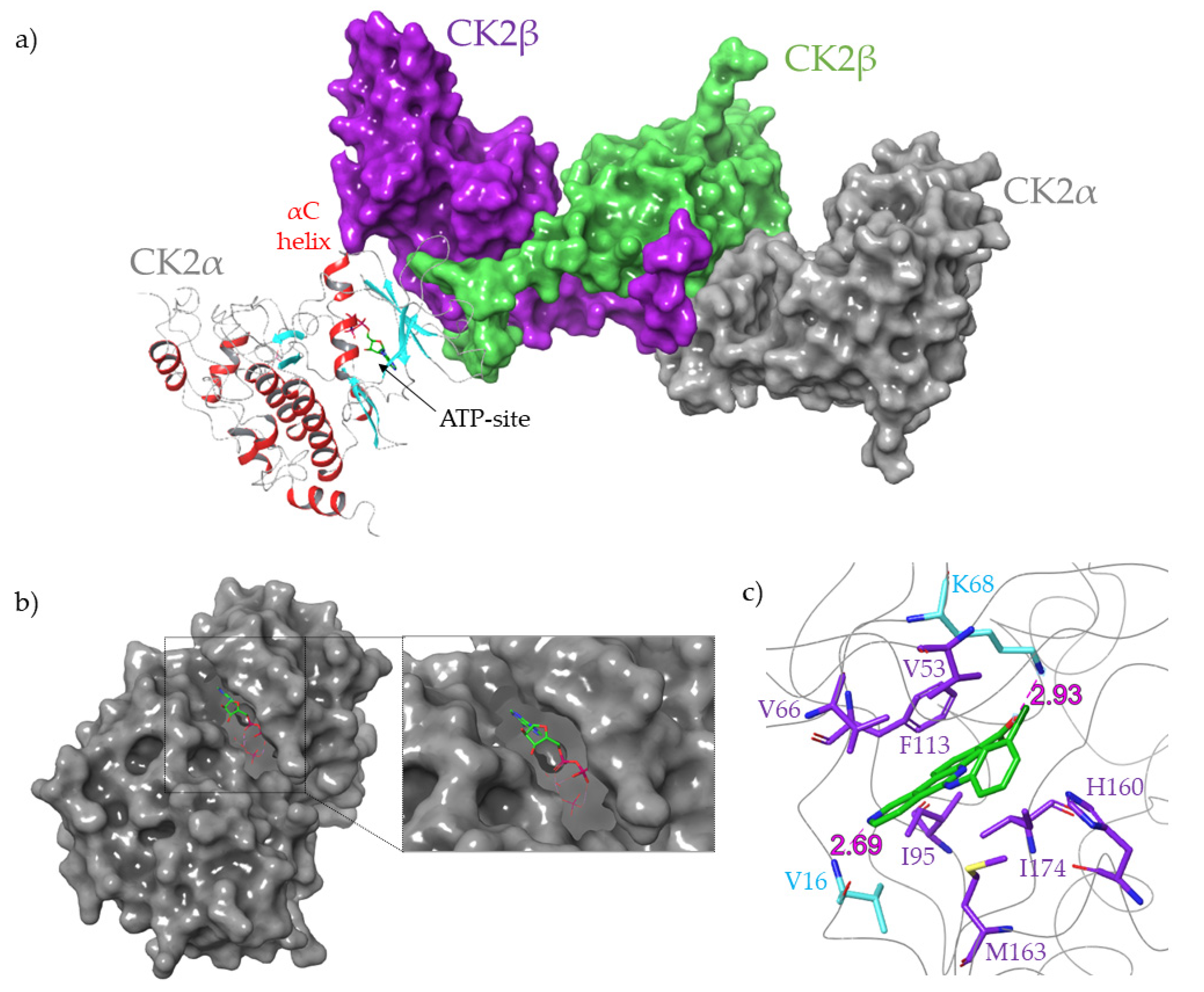 Molecules 26 01977 g002 Molecules 26 01977 g002