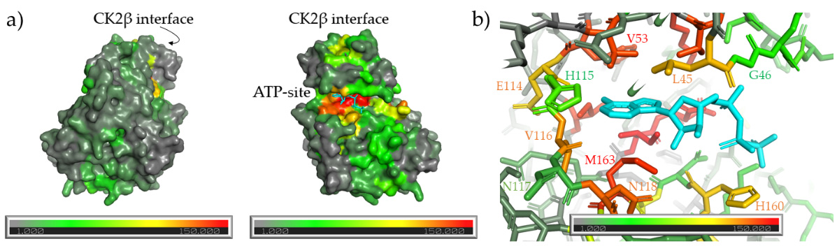 Molecules 26 01977 g003 Molecules 26 01977 g003