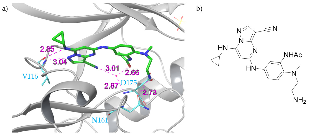 Molecules 26 01977 g006 Molecules 26 01977 g006