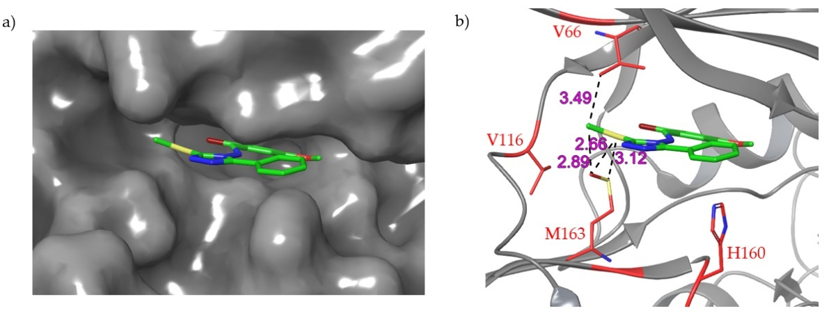 Molecules 26 01977 g009 Molecules 26 01977 g009