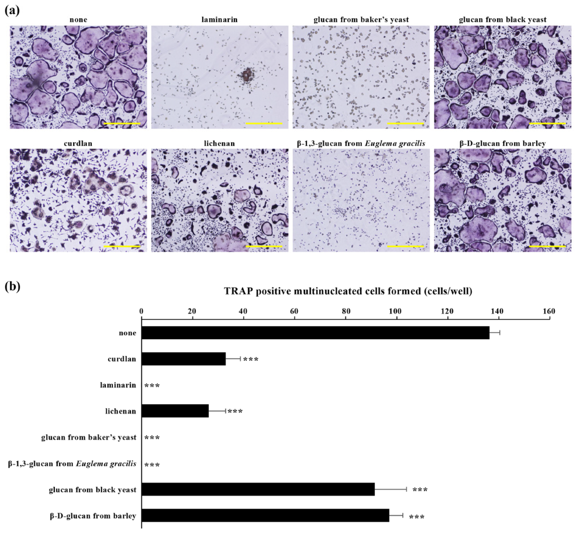 Molecules 26 01982 g002 Molecules 26 01982 g002