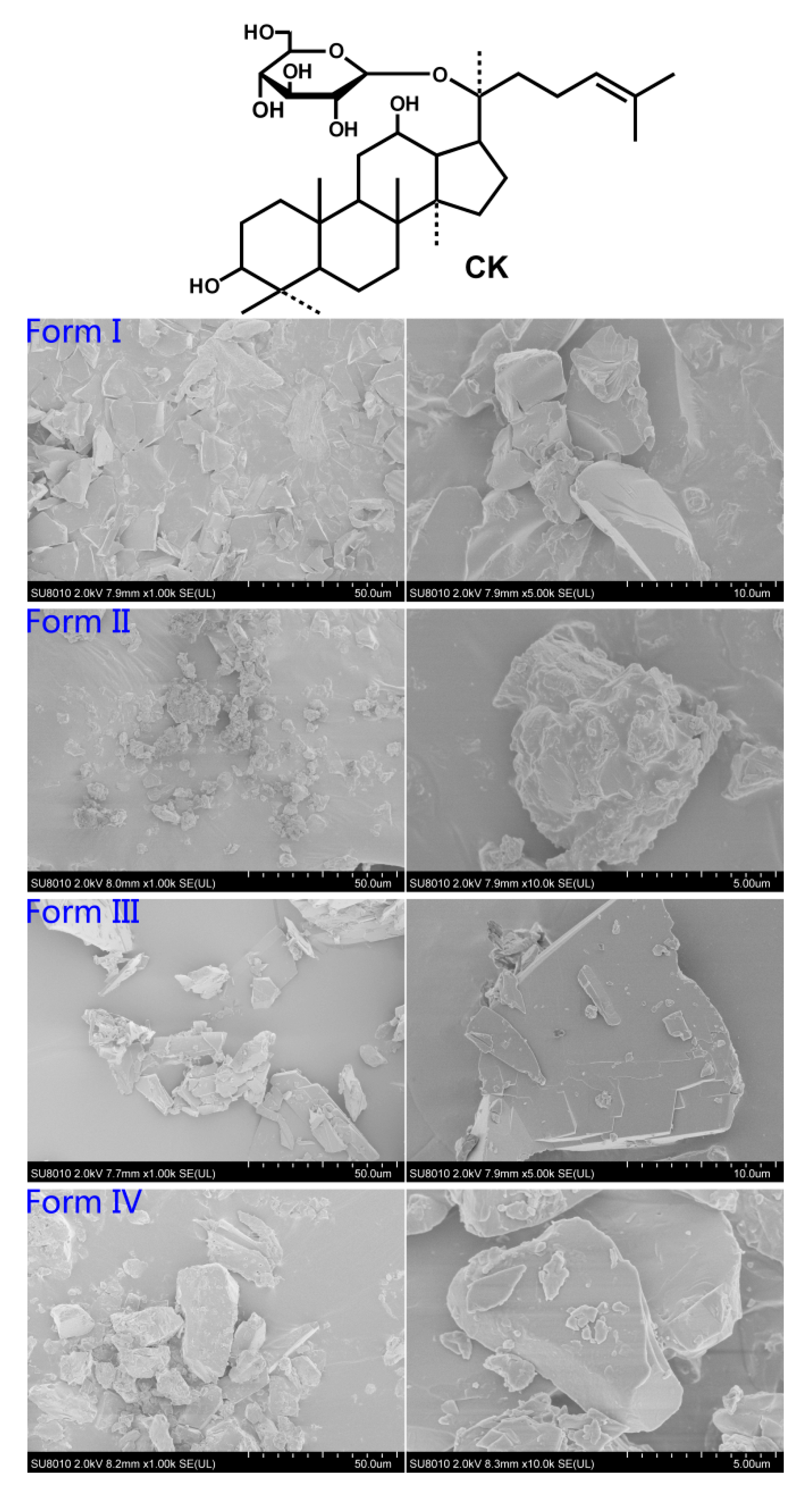 Molecules 26 01983 g001