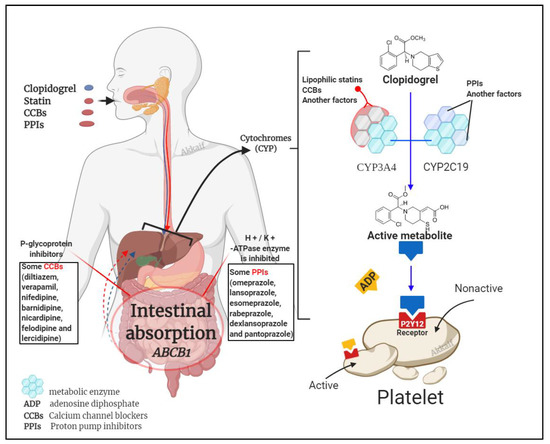 Molecules 26 01987 g003 550