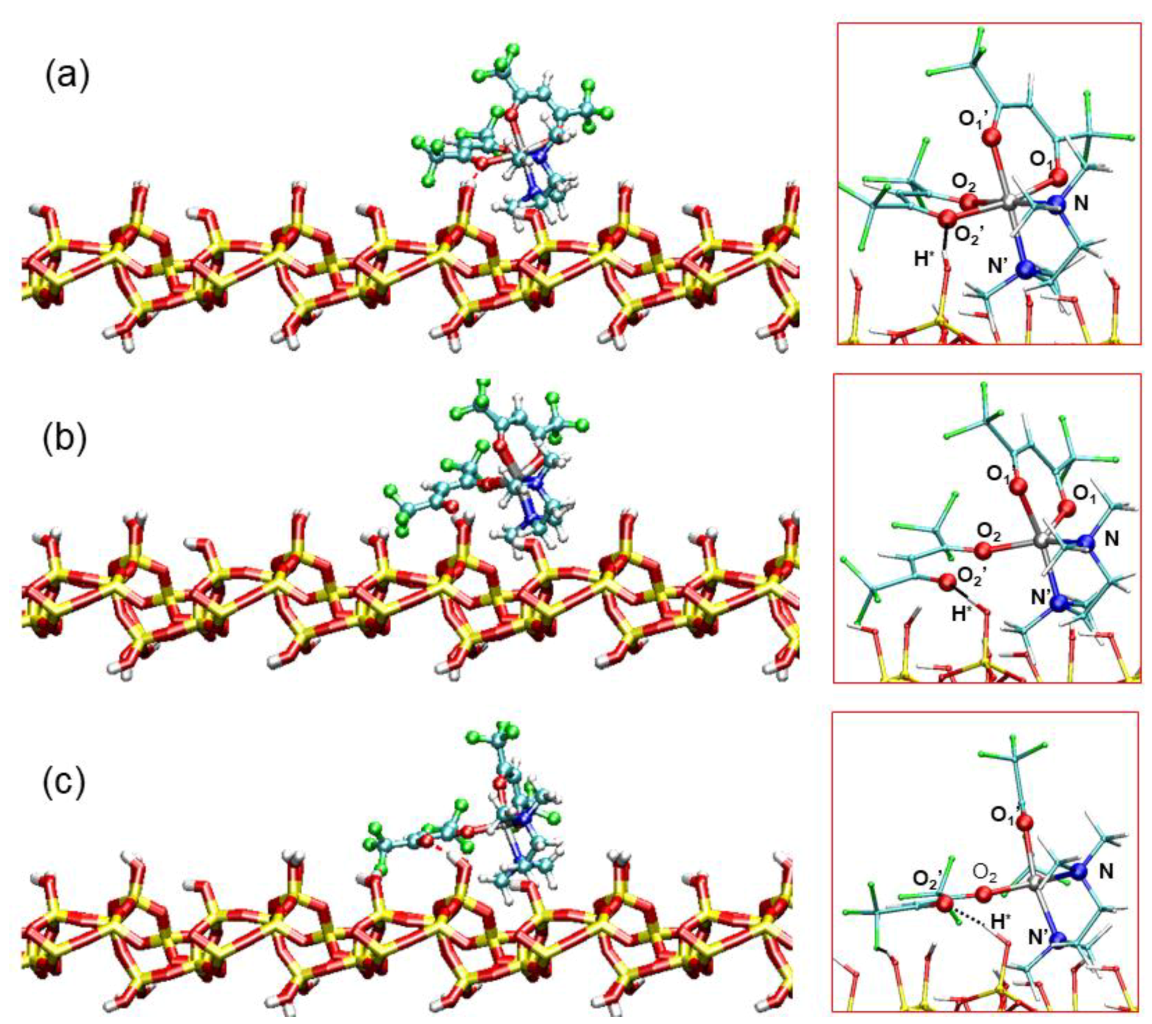 Molecules 26 01988 g006