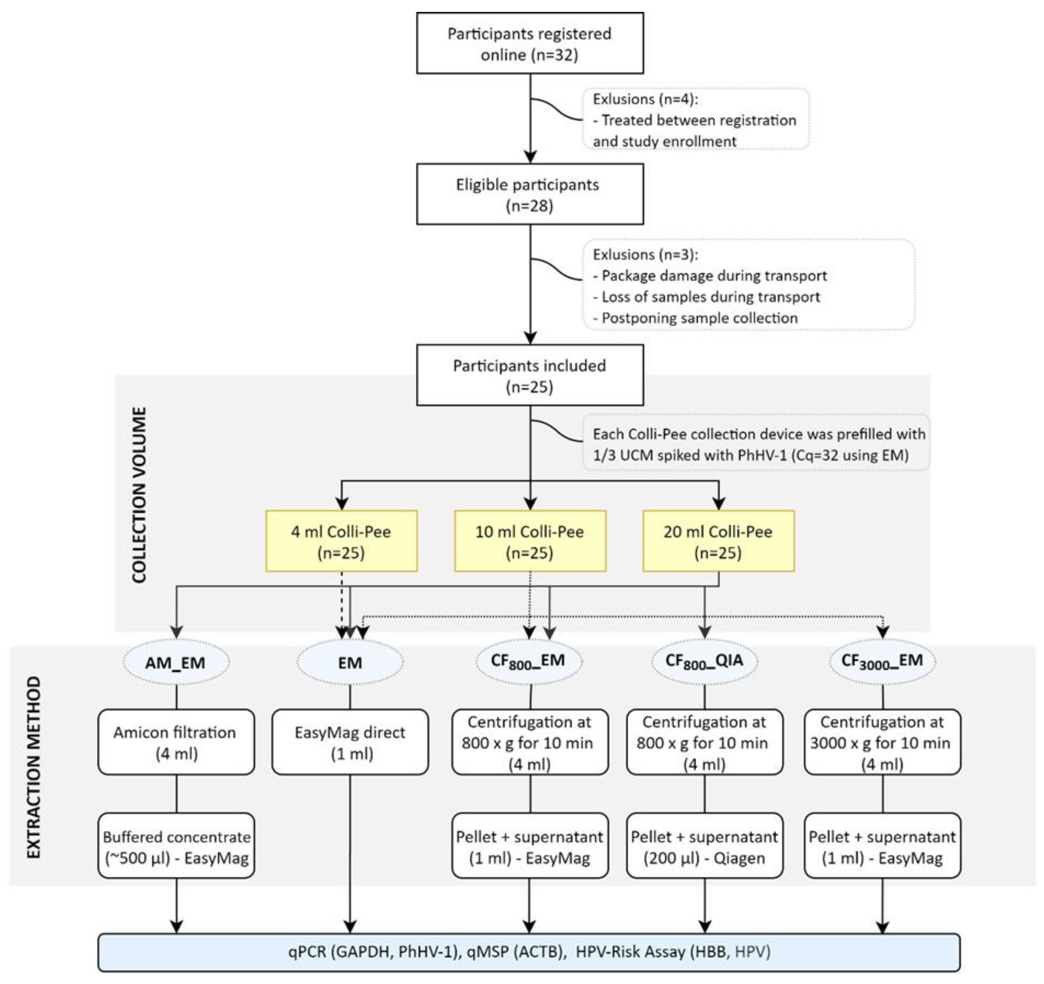 Molecules 26 01989 g001