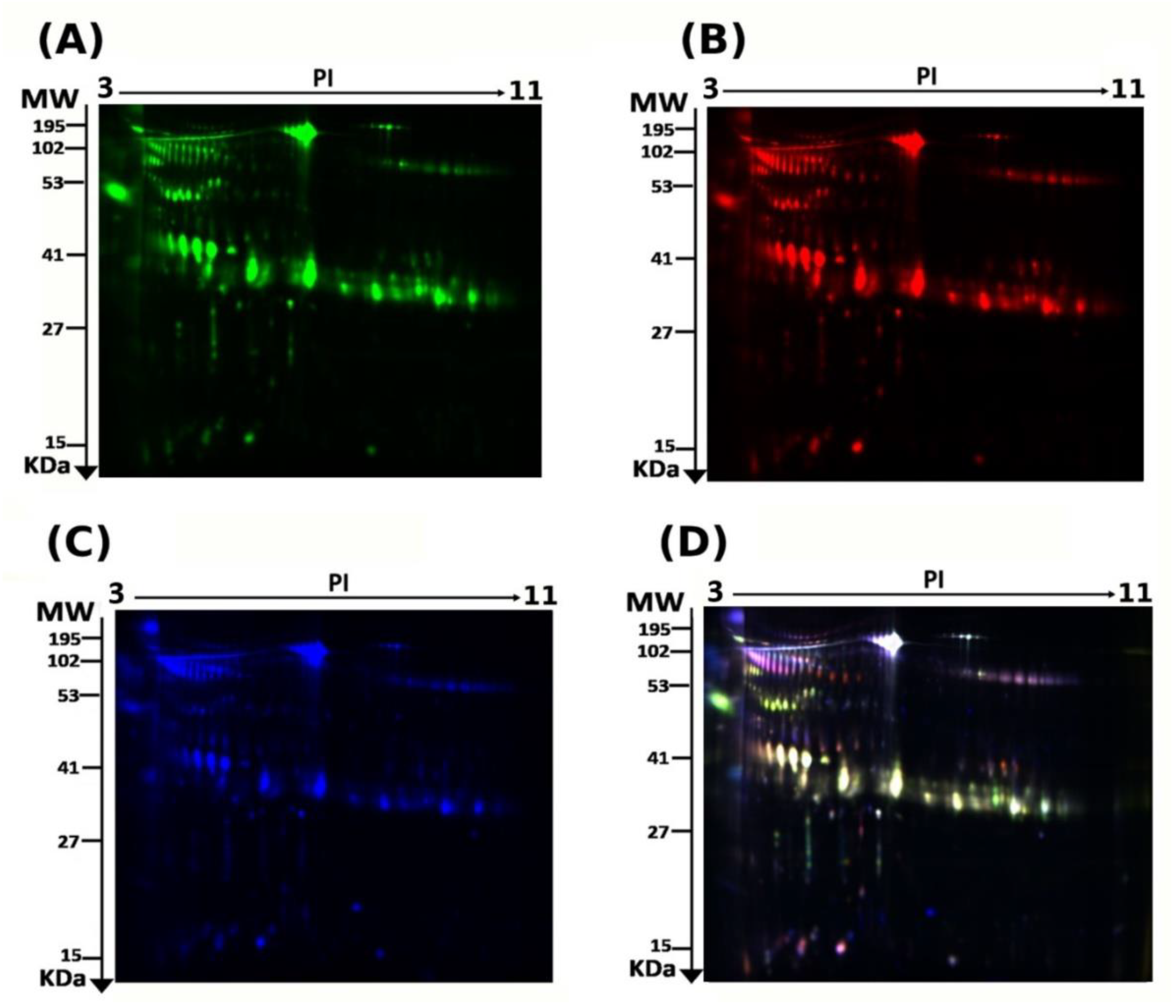 Molecules 26 01991 g001