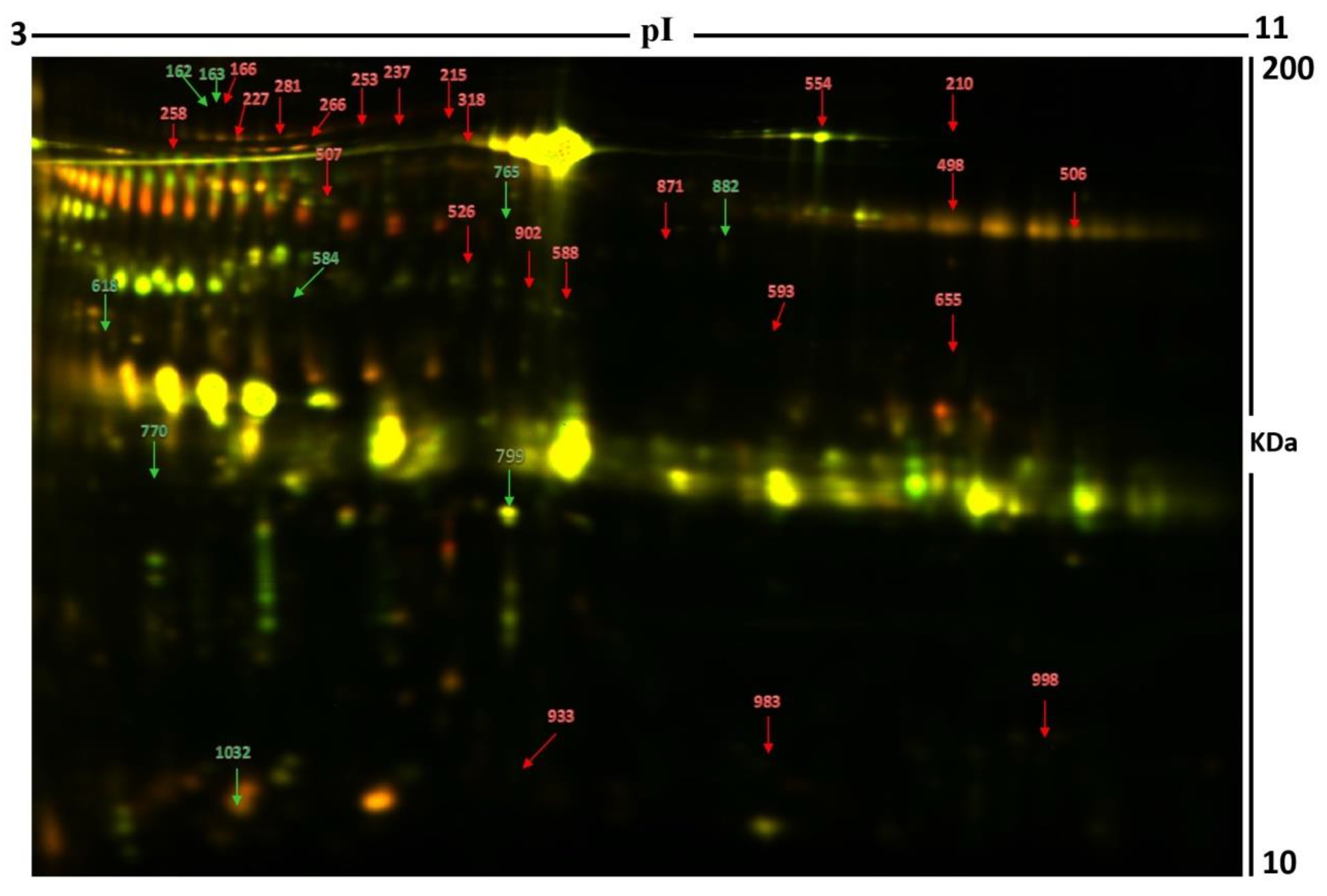 Molecules 26 01991 g002