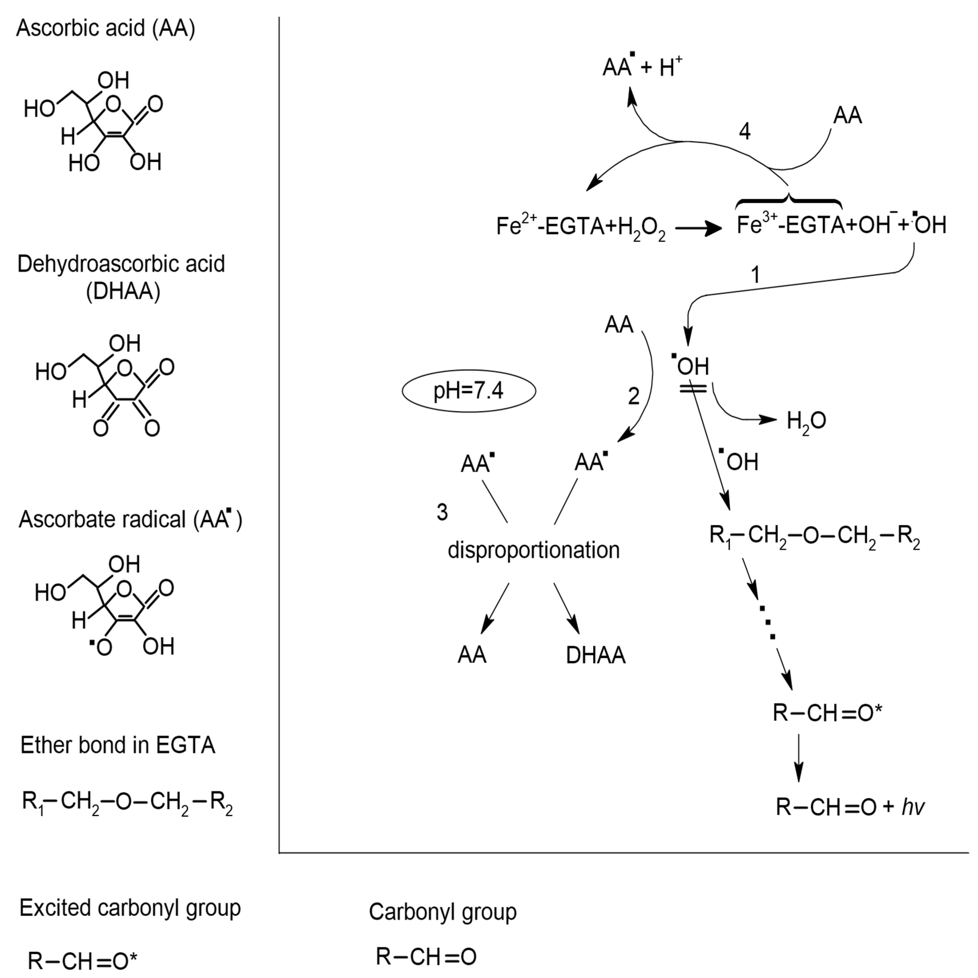 Molecules 26 01993 g005