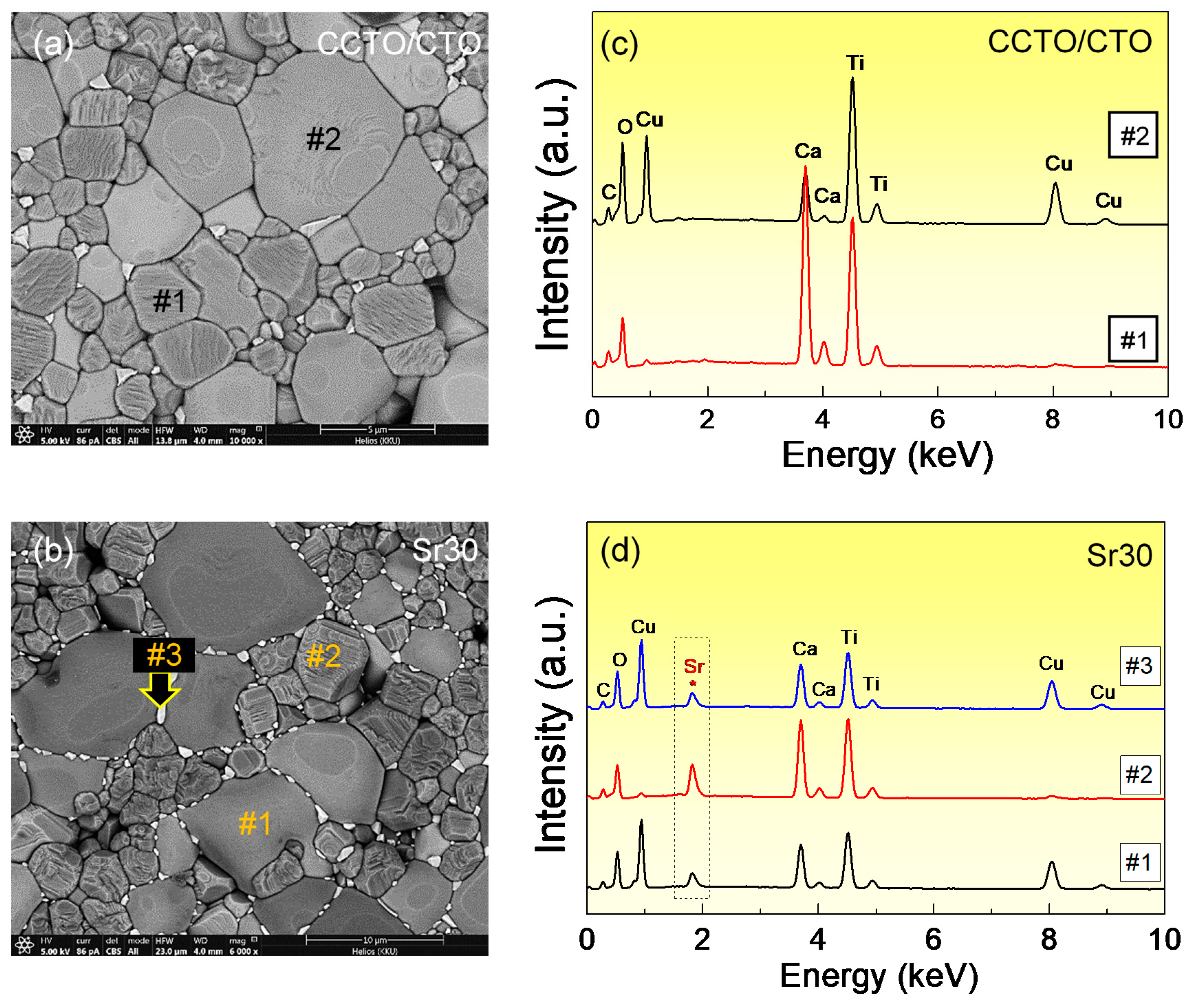 Molecules 26 01994 g003 Molecules 26 01994 g003
